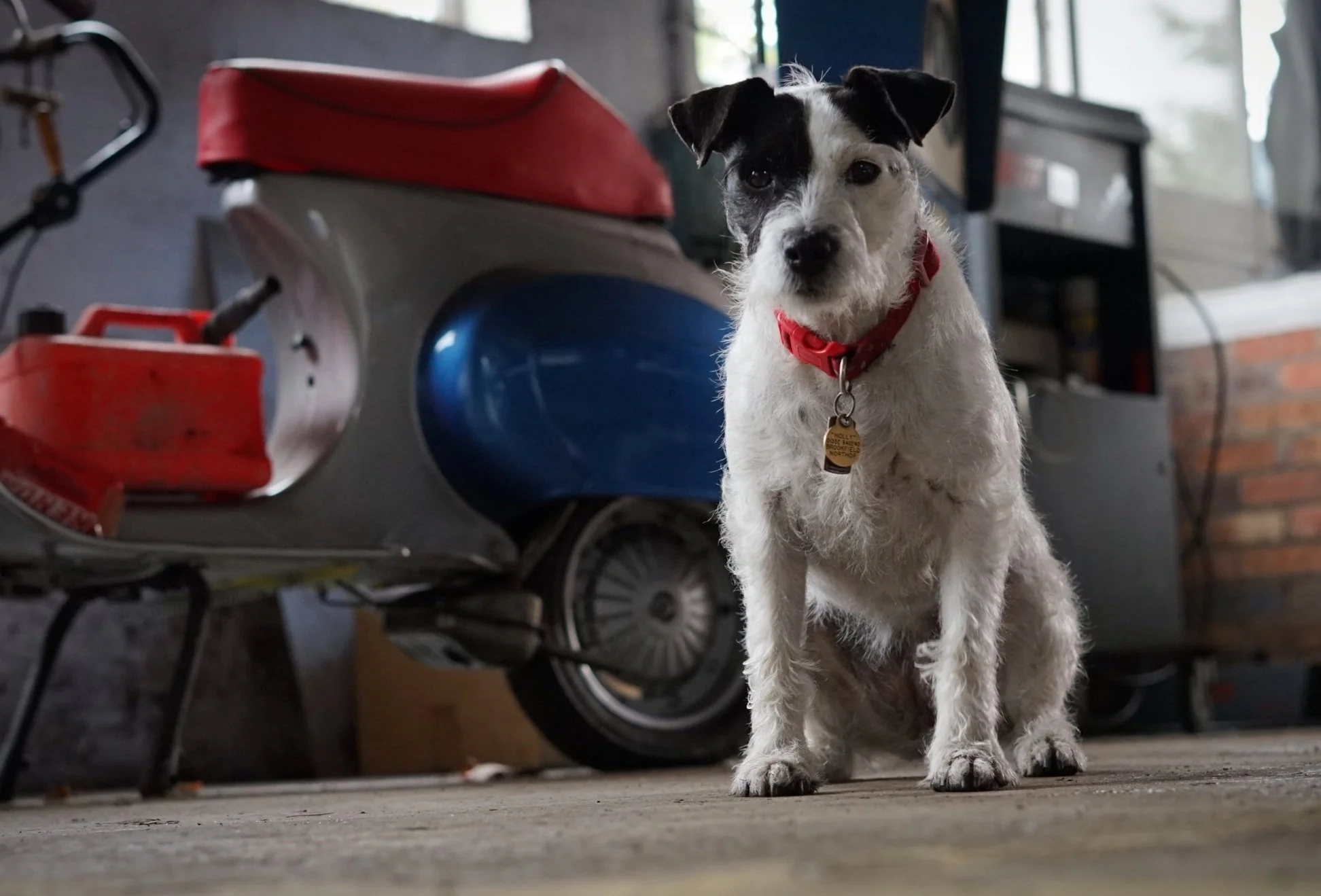 Our Team — Brookfield Garage Northop