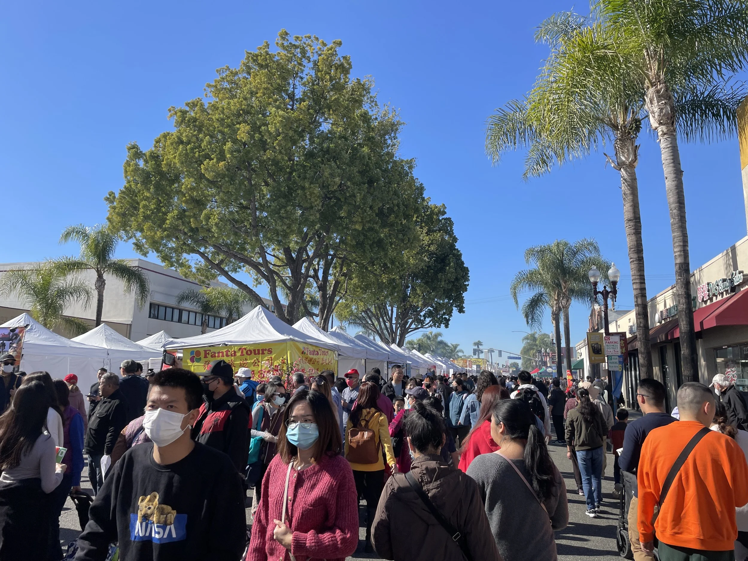 New Year 2023 — Lunar New Year