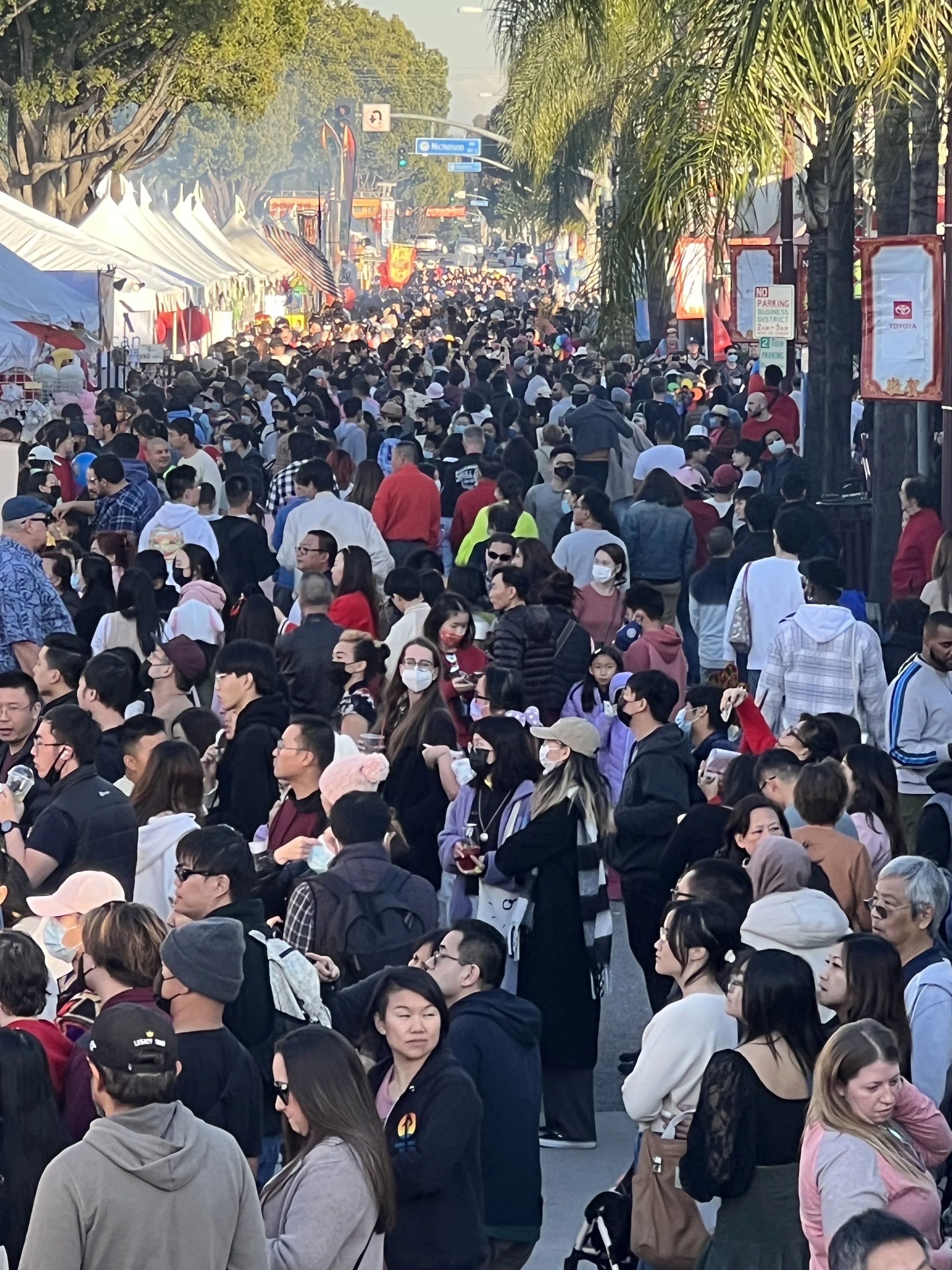 New Year 2023 — Lunar New Year