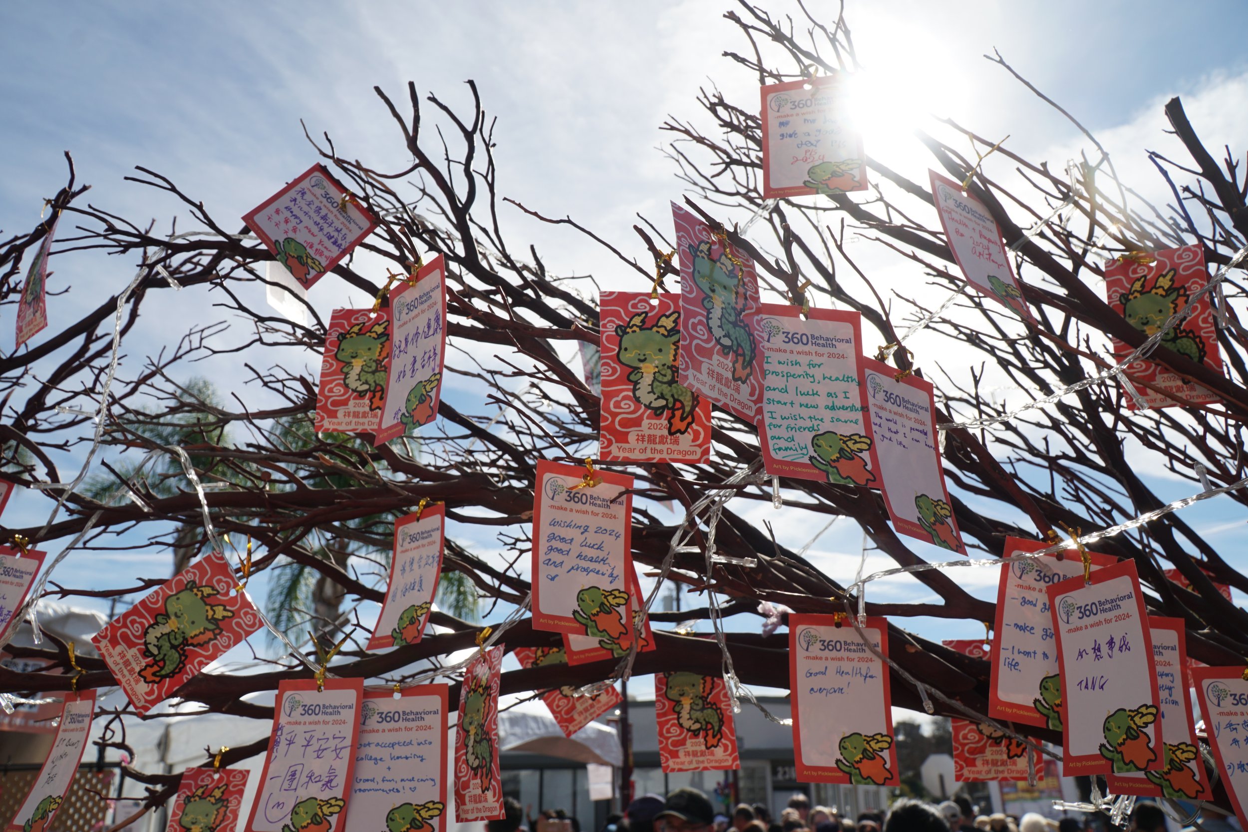 Wishing tree2.JPG