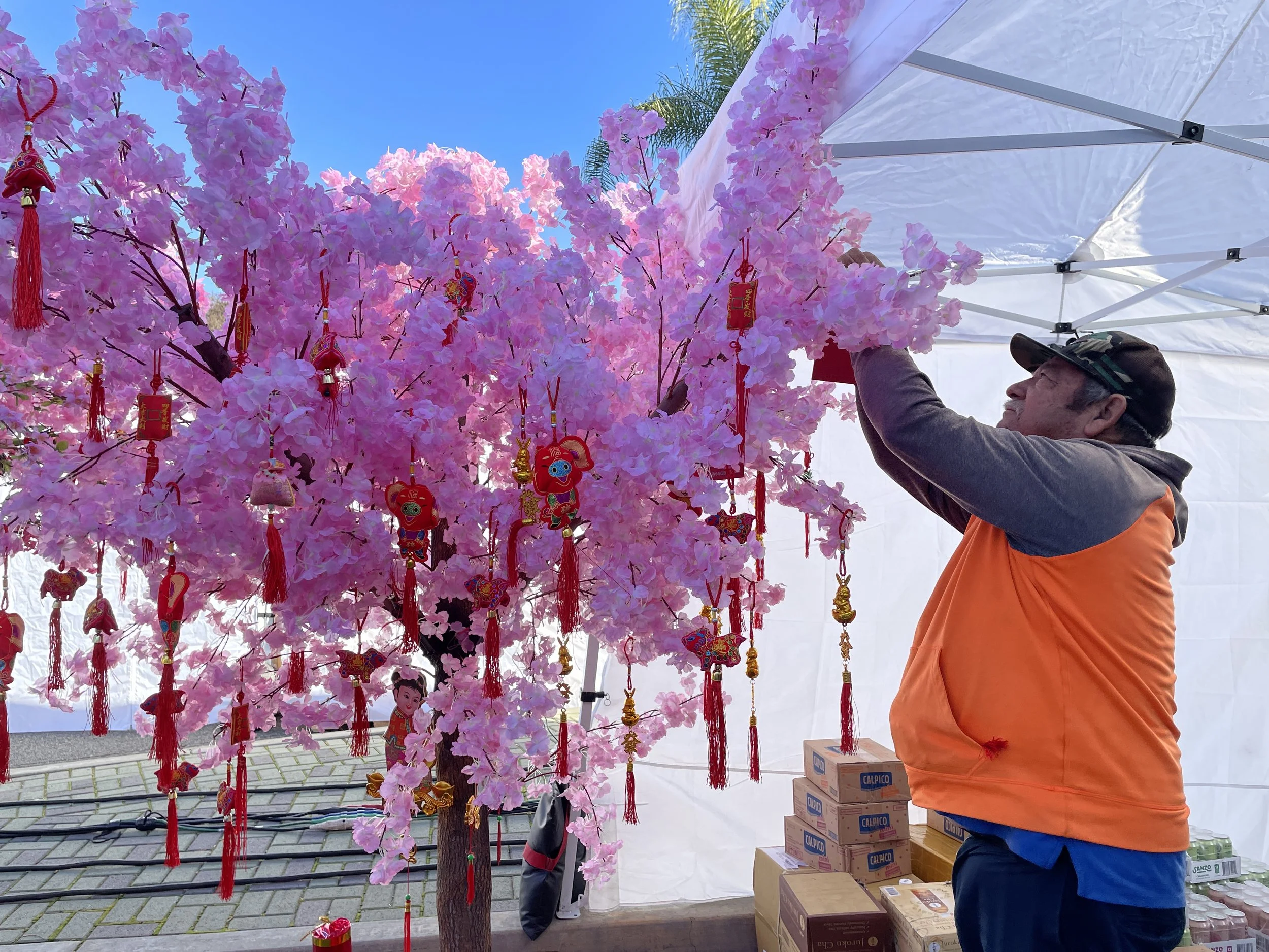 準備 拍照打卡.JPG