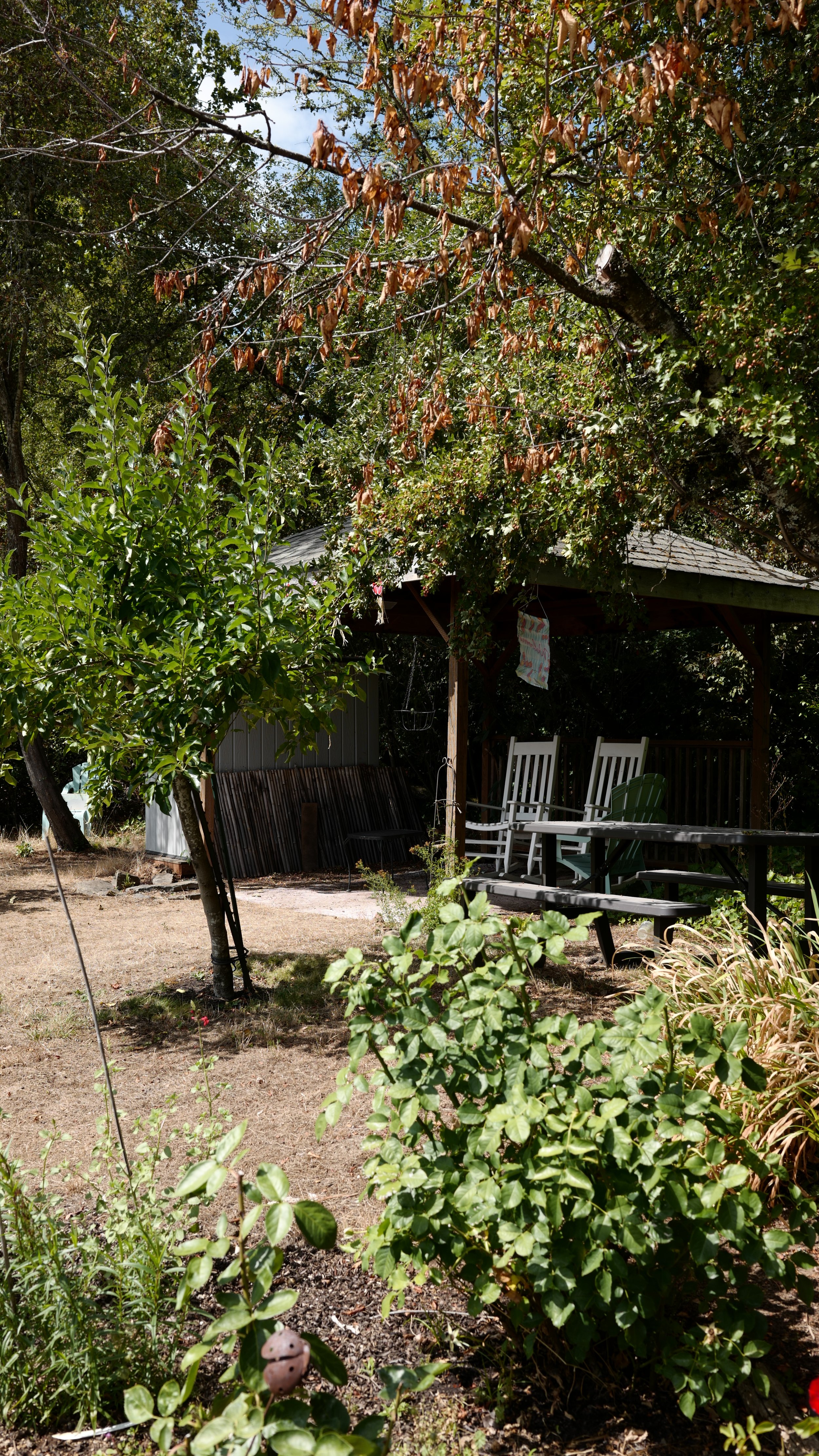 Why Amenities Matter: The Waverley Greens Experience