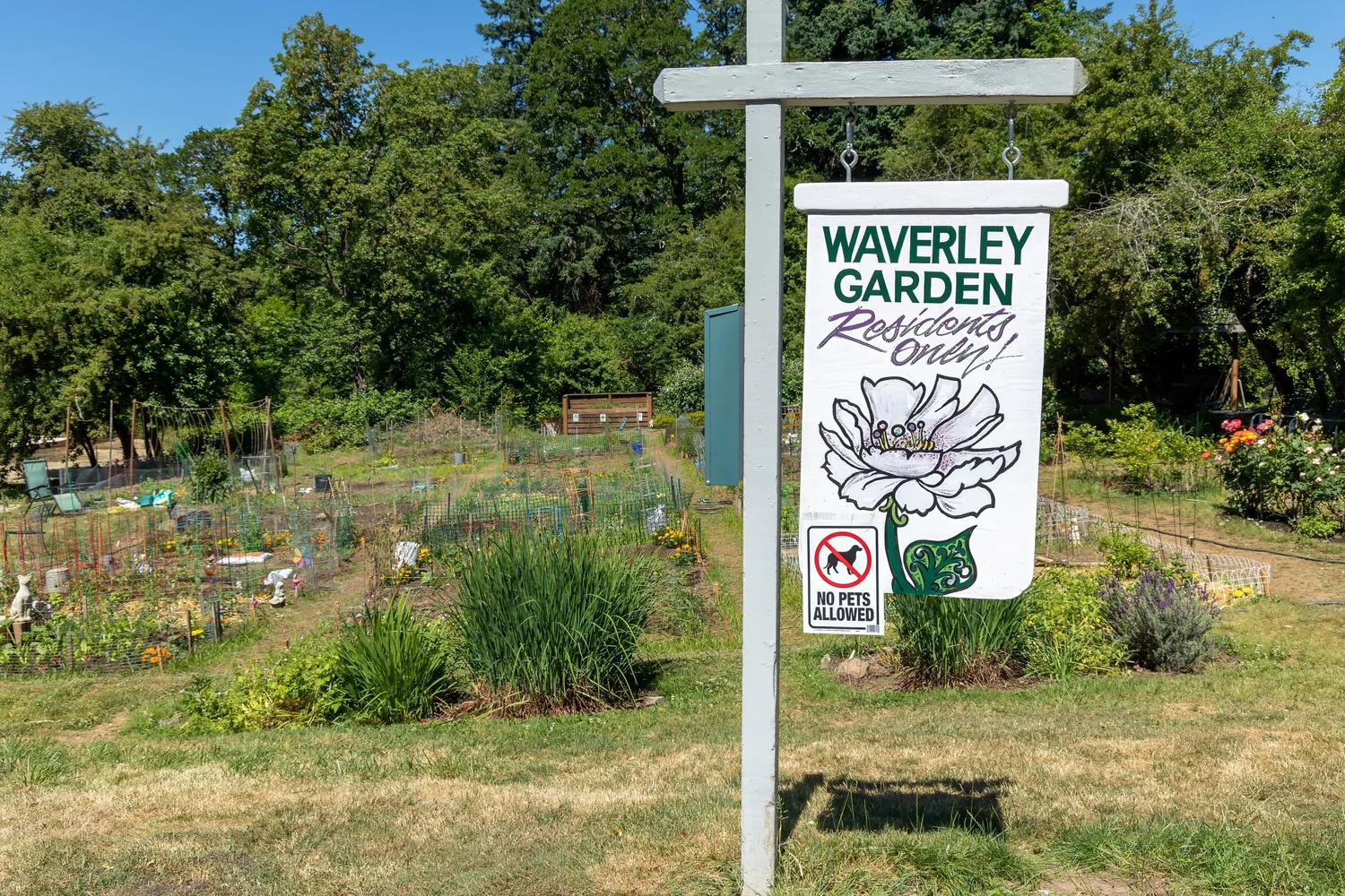 Our Story — Waverley Greens