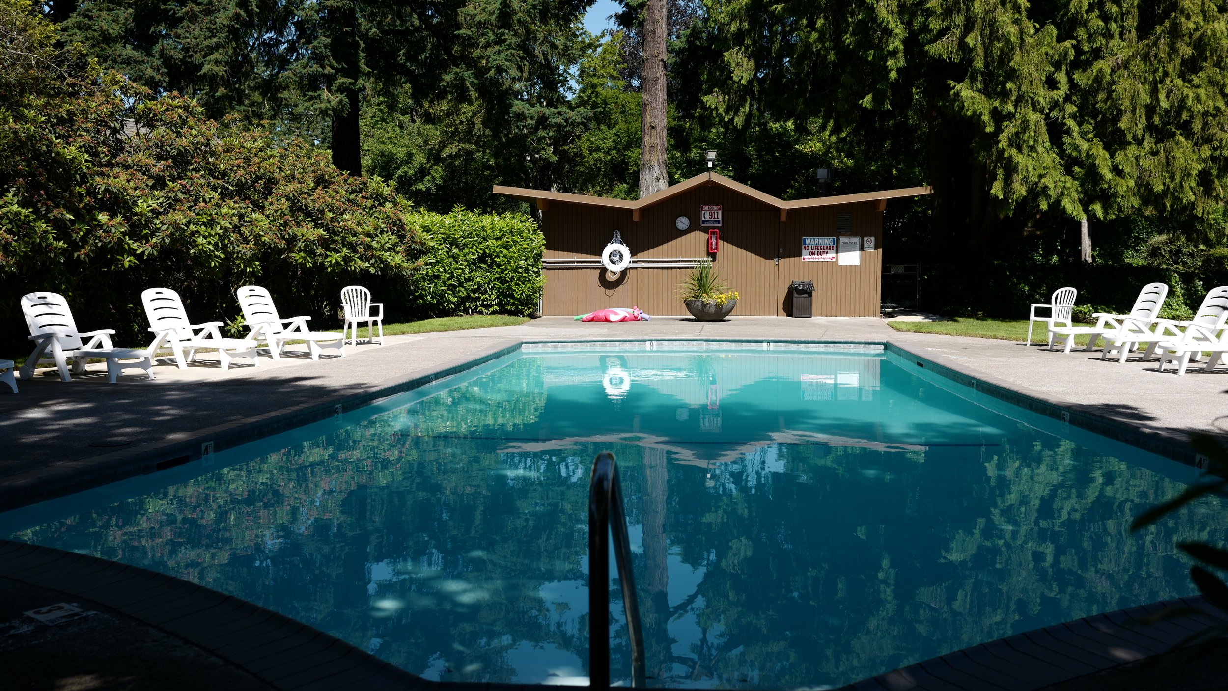 Empty swimming pool with white lounge chairs on both sides, surrounded by trees and greenery, with a small brown building in the background containing safety and warning signs.