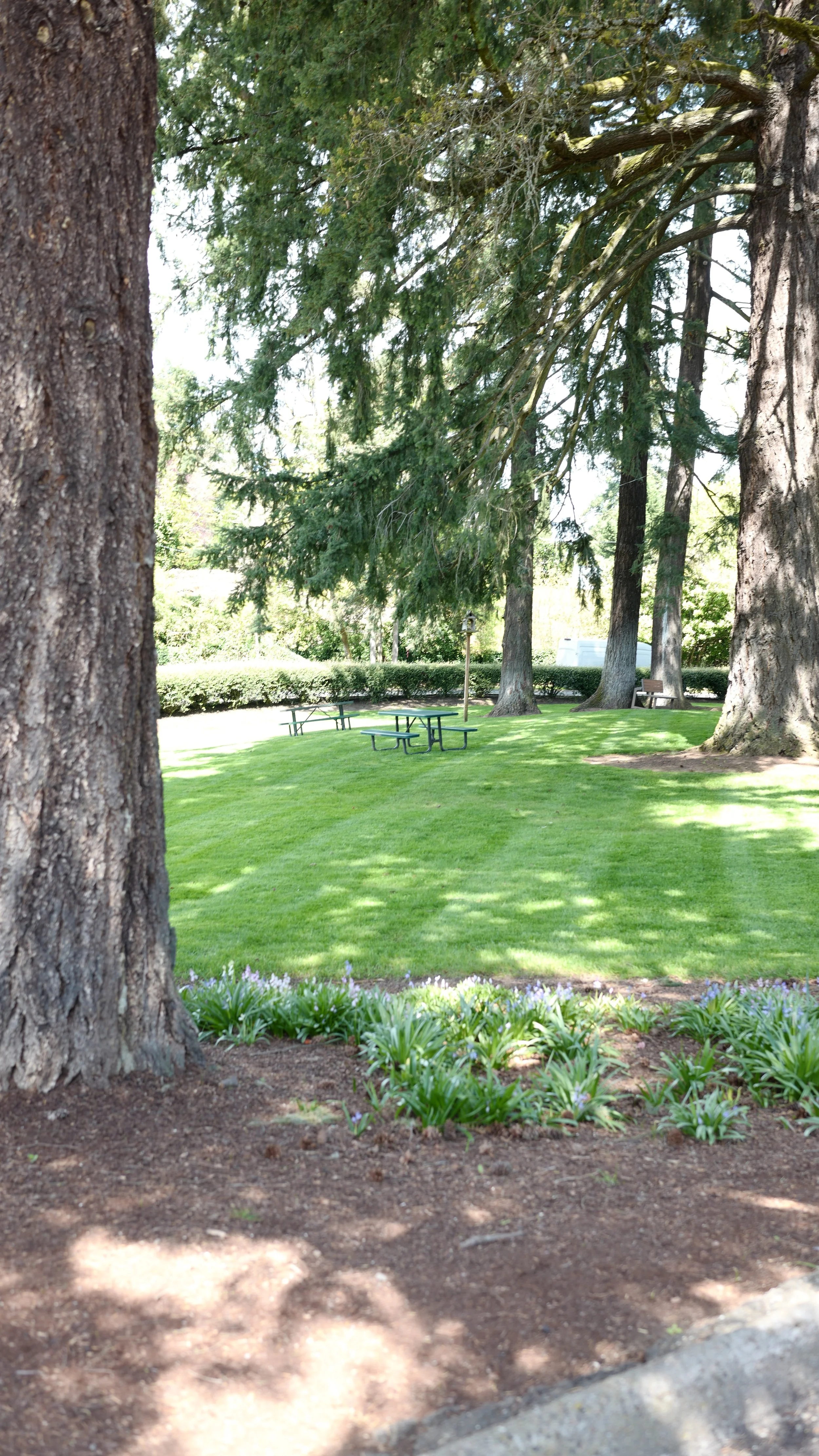 A park with large trees, green grass, flower beds, and picnic tables under the shade.
