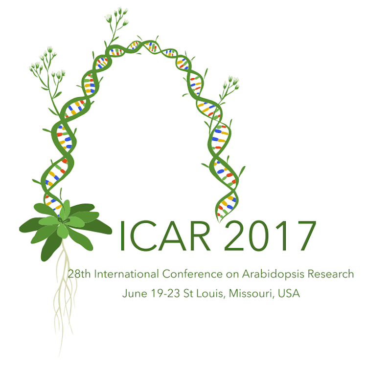 General 3 — Arabidopsis Community as supported by NAASC