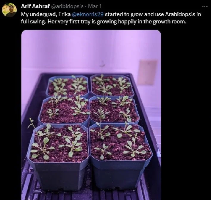 NAASC blog post thumbnail for blog grouping.jpeg