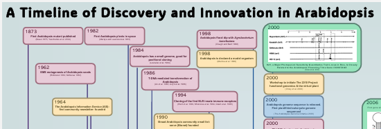 NAASC presents a timeline highlighting some of the exceptional discoveries, innovations, and community milestones in Arabidopsis research over the past 150+ years. This timeline showcases multinational Arabidopsis efforts from as early as 1873 to the
