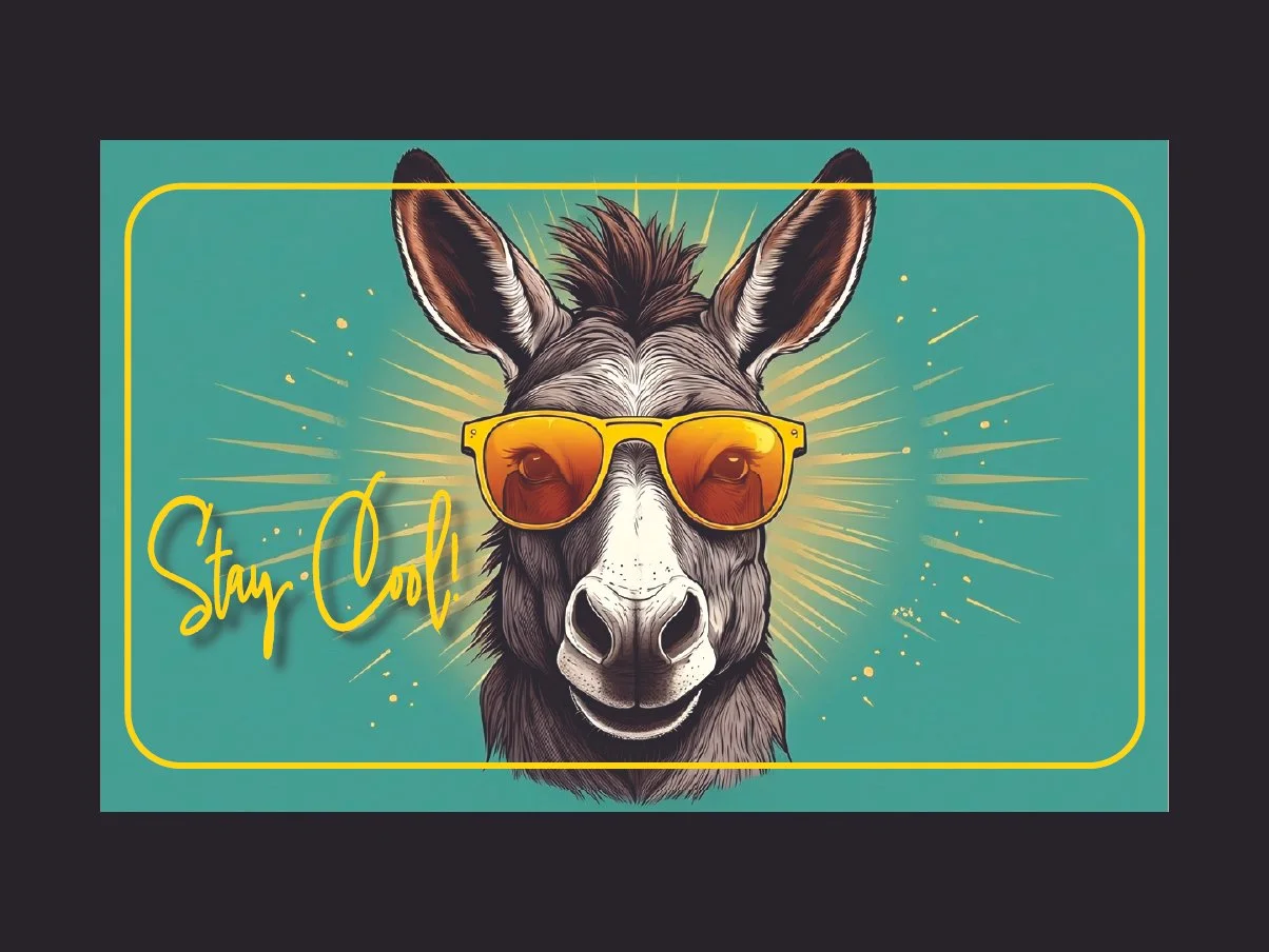Stay Cool