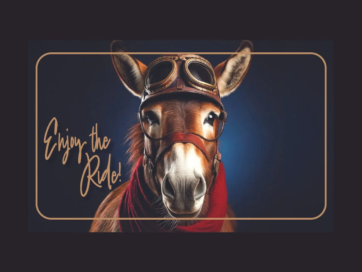 Enjoy the Ride