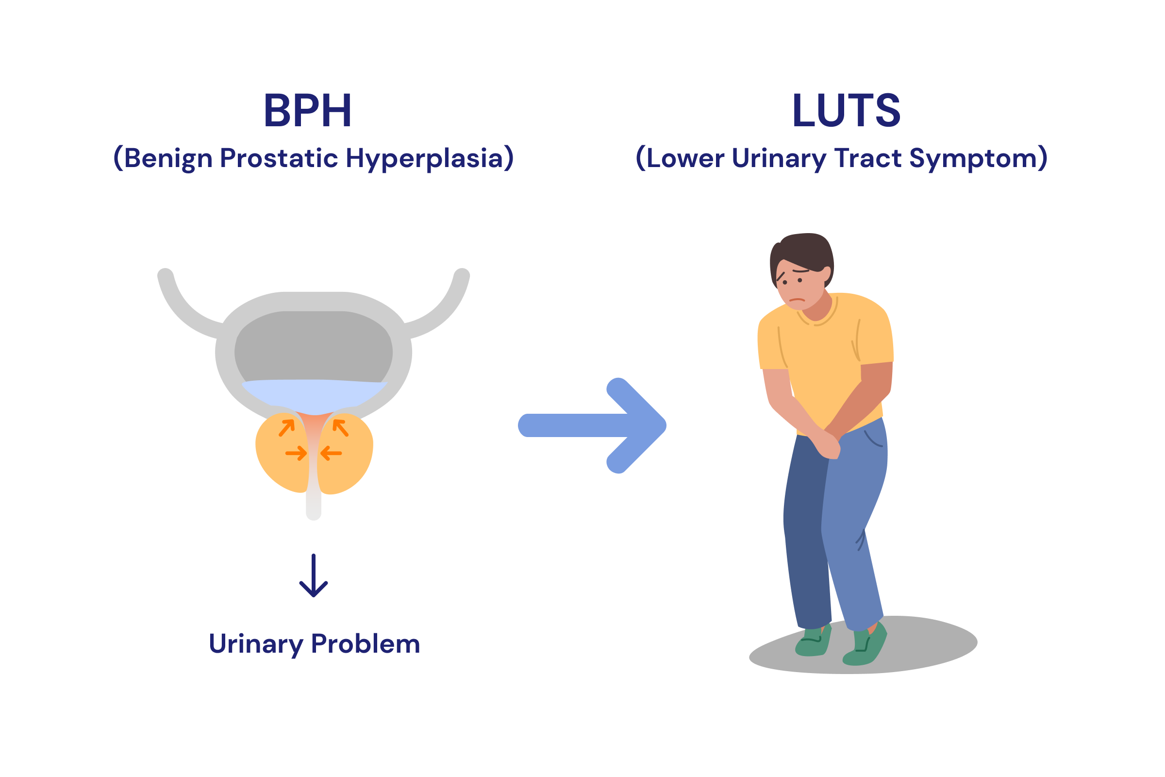 BPH causes LUTS — proudP Personal Prostate Health Monitor