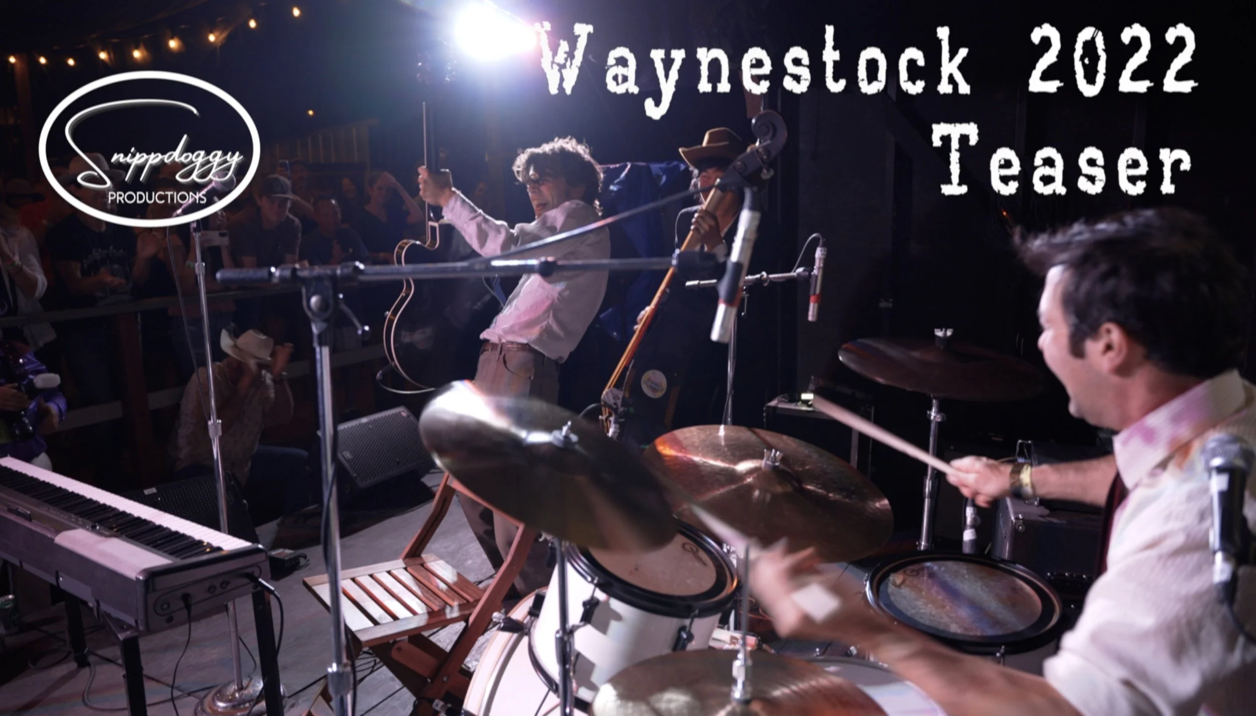 Thumbnail - Waynestock Teaser-JPEG.jpg