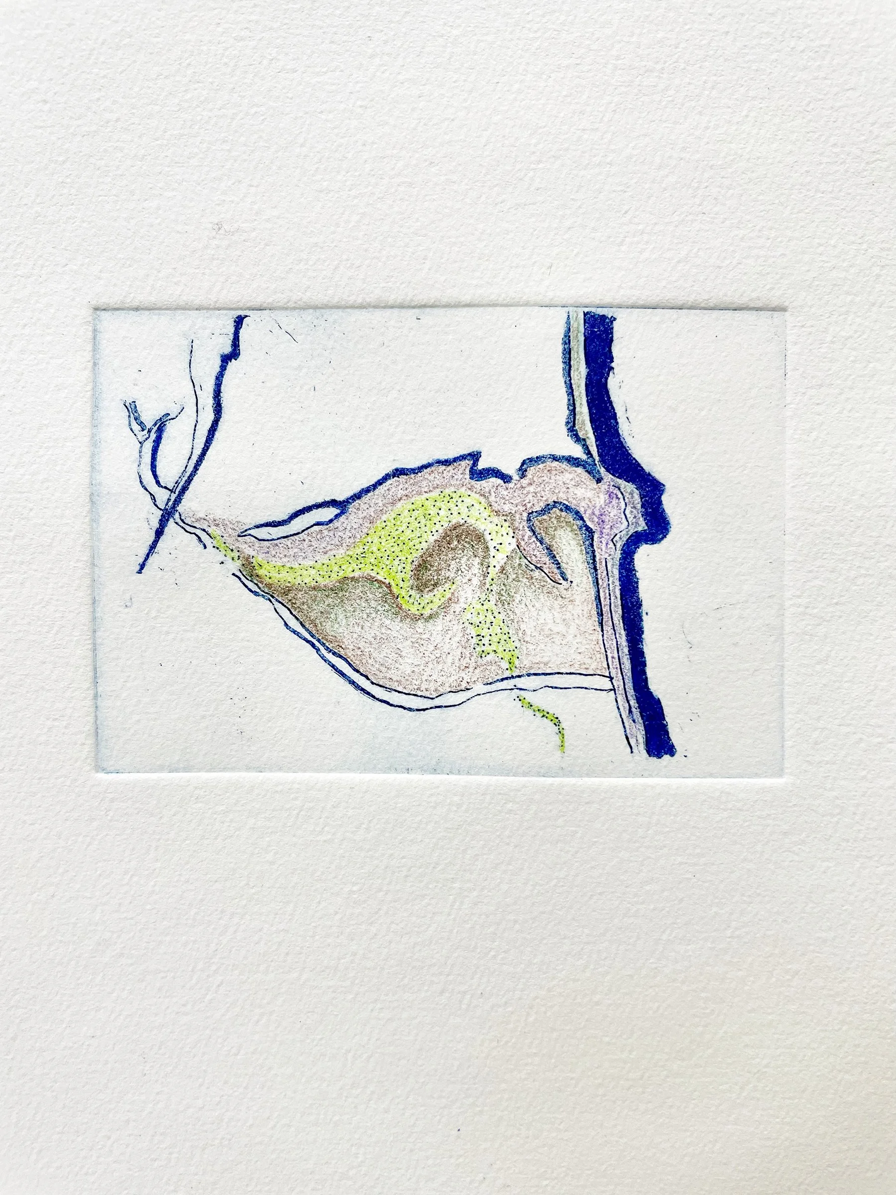 EbbandFlowDelta.jpg