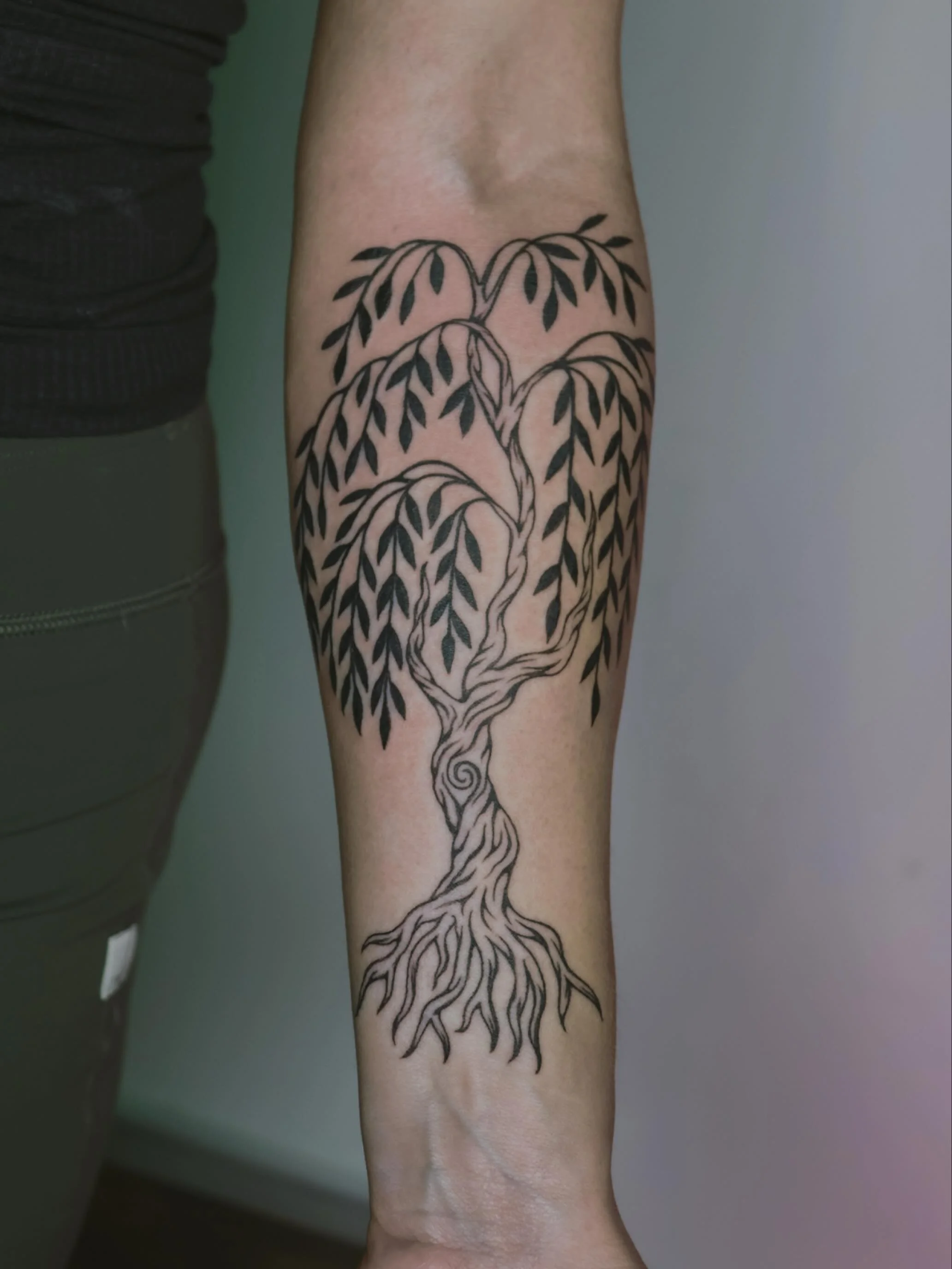 Custom Willow 🍃
•
•
•
#dallastattooartist #femaletattooartist #illustrativetattoo #stuckwithsarah_
#batandcavetattoo #dallastattoos #dallastattooshop #texastattooartist #dfwtattoos  #blackandgreytattoo #realismtattoo  #finelinetattoo