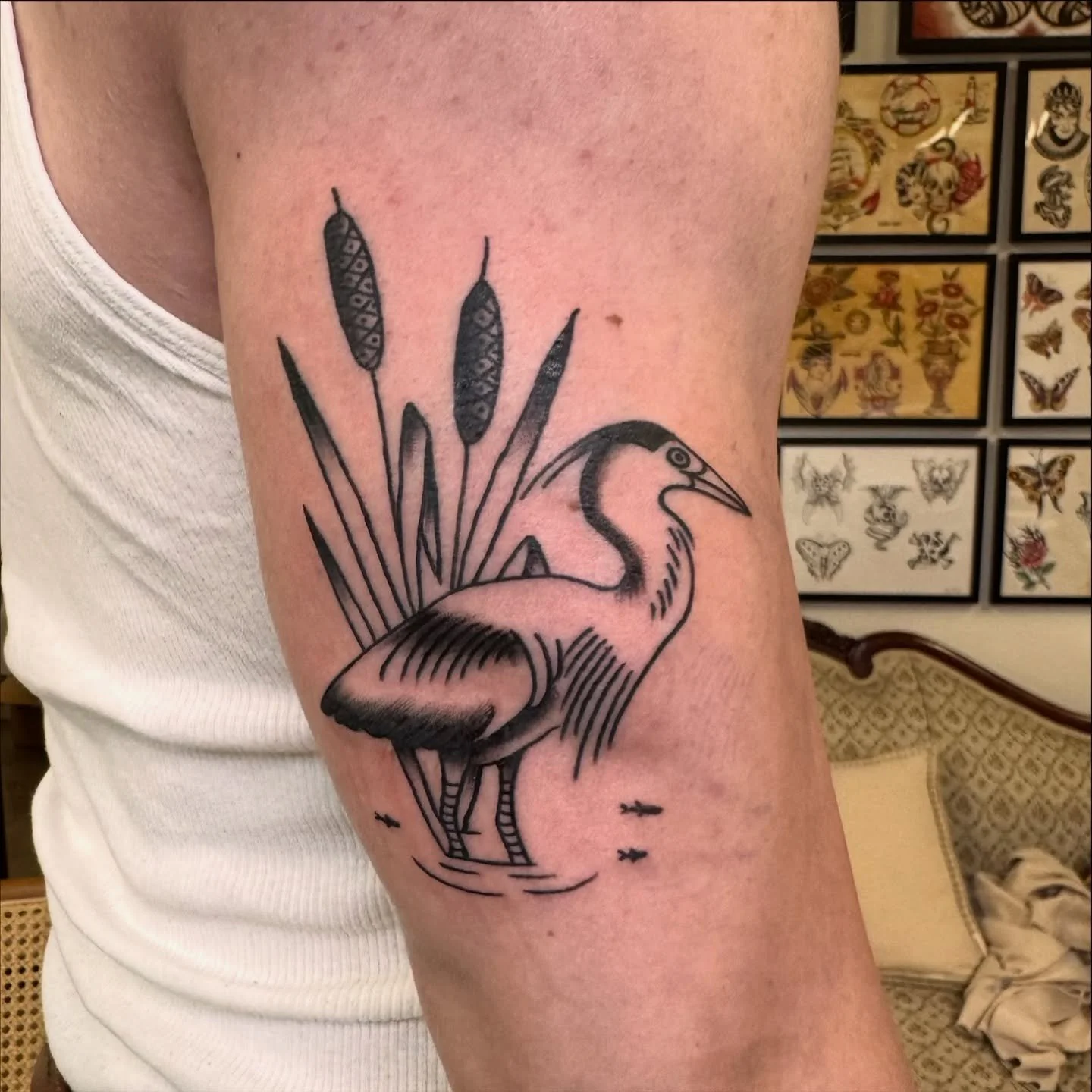 Thanks for getting this great blue heron flash Austin!!🐛 
#dfwtattoos #dfwtattooartist #dallastattooartist #dallastattooartist #dallastattoo #femaletattooer #tattooer #tattooapprenticeship #tattooapprenticelife #tattooapprentice #americantraditiona