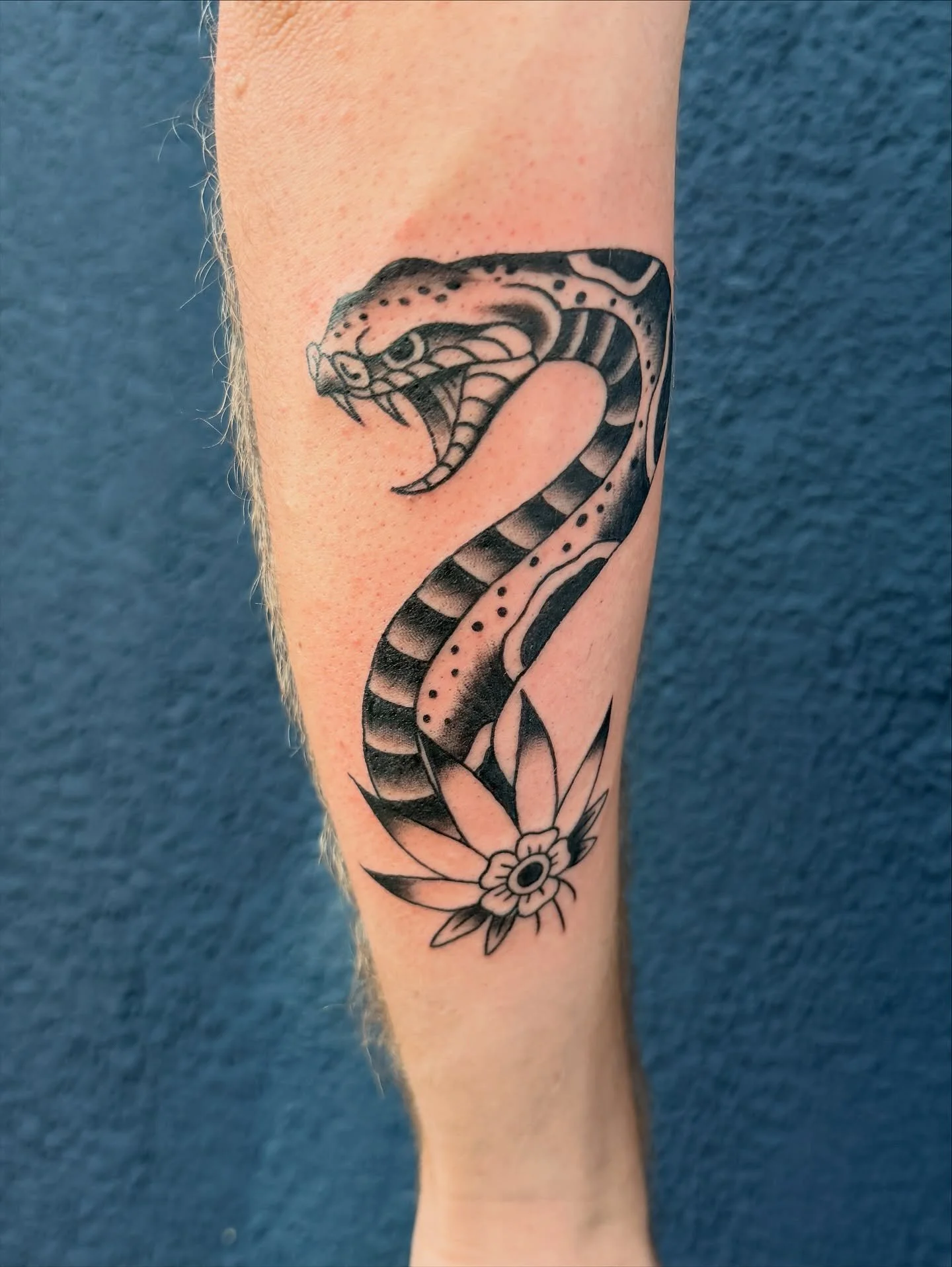 Rattlesnake!!! Thanks so much @adam_spilker this was a joy to do!! 

#dfwtattoos #dfwtattooartist #dallastattooartist #dallastattooartist #dallastattoo #femaletattooer #tattooer #tattooapprenticeship #tattooapprenticelife #tattooapprentice #americant