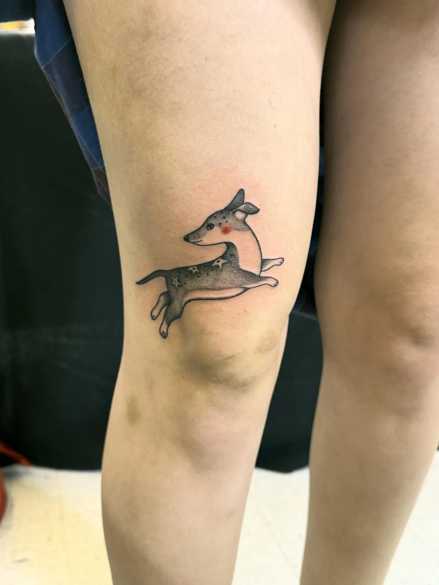 Custom jumping pup! 🦴🐶🐾
&bull;
&bull;
&bull;
#dallastattooartist #femaletattooartist #illustrativetattoo #stuckwithsarah_
#batandcavetattoo #dallastattoos #dallastattooshop #texastattooartist #dfwtattoos  #blackandgreytattoo #realismtattoo  #finel