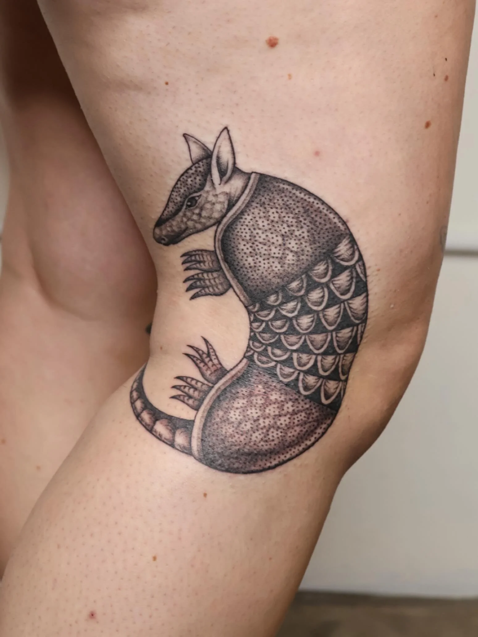 Armadillooooooooo🏜️
&bull;
&bull;
&bull;
#dallastattooartist #femaletattooartist #illustrativetattoo #stuckwithsarah_
#batandcavetattoo #dallastattoos #dallastattooshop #texastattooartist #dfwtattoos  #blackandgreytattoo #realismtattoo  #finelinetat