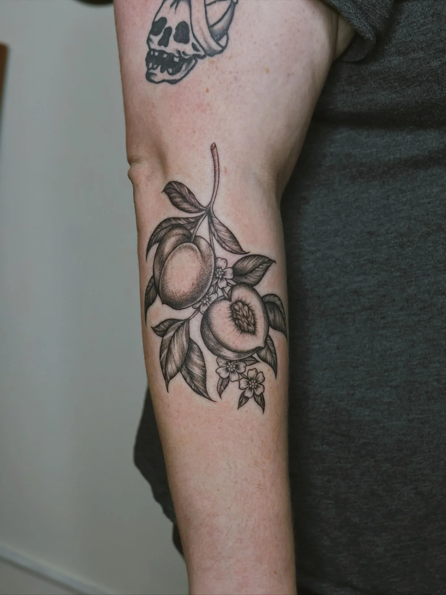 🍑🍑🍑
&bull;
&bull;
&bull;
#dallastattooartist #femaletattooartist #illustrativetattoo #stuckwithsarah_
#batandcavetattoo #dallastattoos #dallastattooshop #texastattooartist #dfwtattoos  #blackandgreytattoo #realismtattoo  #finelinetattoo #tradition