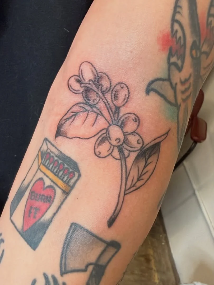 Elbow ditch coffee cherries from our event yesterday! Thanks every one for coming out and supporting a good cause. One of the reasons I love being at @batandcavetattoo is the care between us and the community. We got to donate a ton of canned food, y