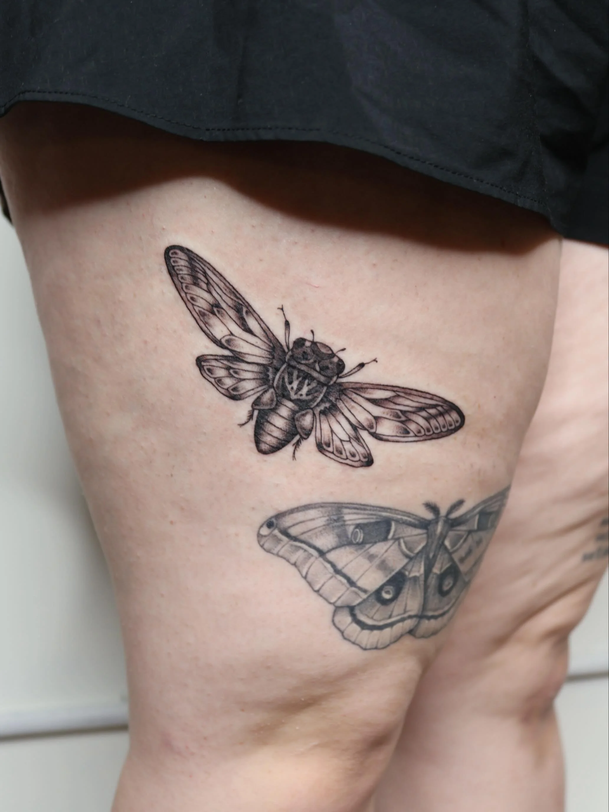 Buggo
&bull;
&bull;
&bull;
#dallastattooartist #femaletattooartist #illustrativetattoo #stuckwithsarah_
#batandcavetattoo #dallastattoos #dallastattooshop #texastattooartist #dfwtattoos  #blackandgreytattoo #realismtattoo  #finelinetattoo #traditiona