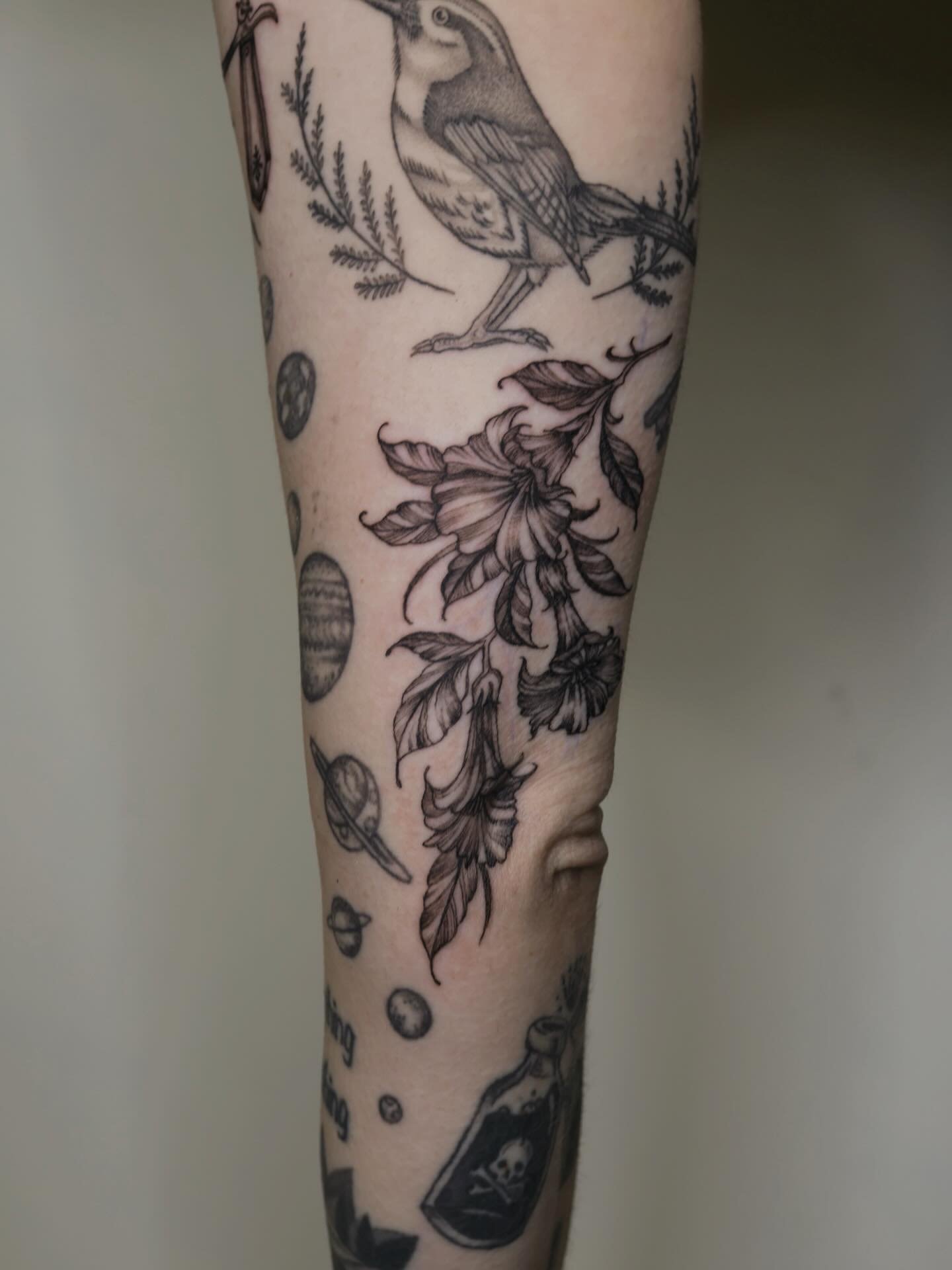 Gothic floral filler 🖤
#dallastattooartist #femaletattooartist #illustrativetattoo #blackandgreytattoo #floraltattoo