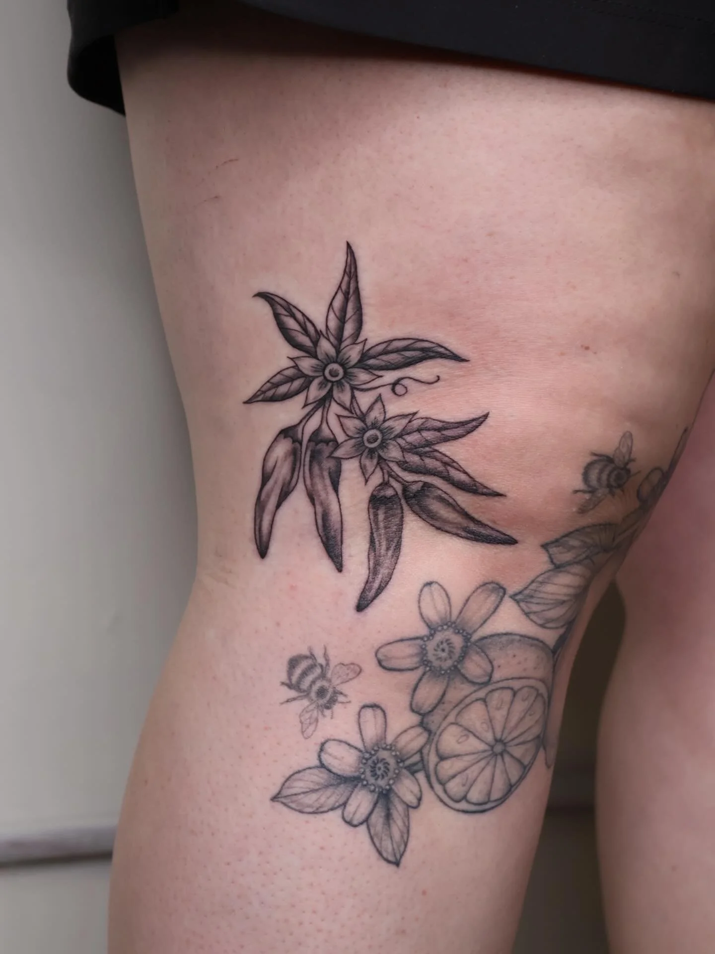 Chili peppers 🌶️🌶️🌶️
#dfwtattooartist #femaletattooartist #dallastattooartist #chilipepper