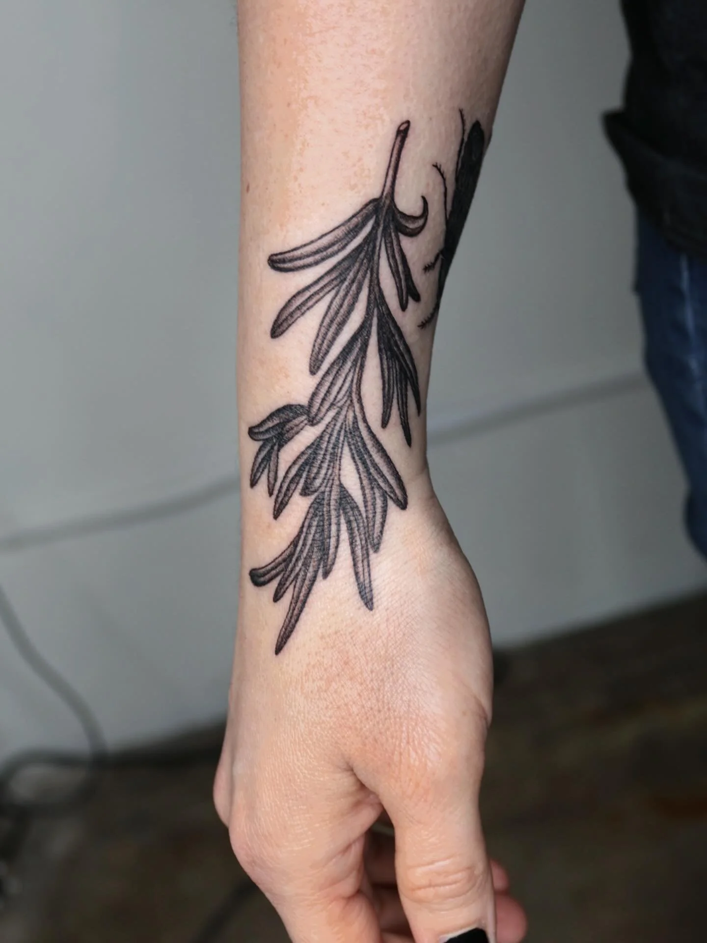 Always keep rosemary by your garden gate 🪴
#dallastattooartist #dfwtattooartist #femaletattooartist #practicalmagic  #blackandgreytattoo