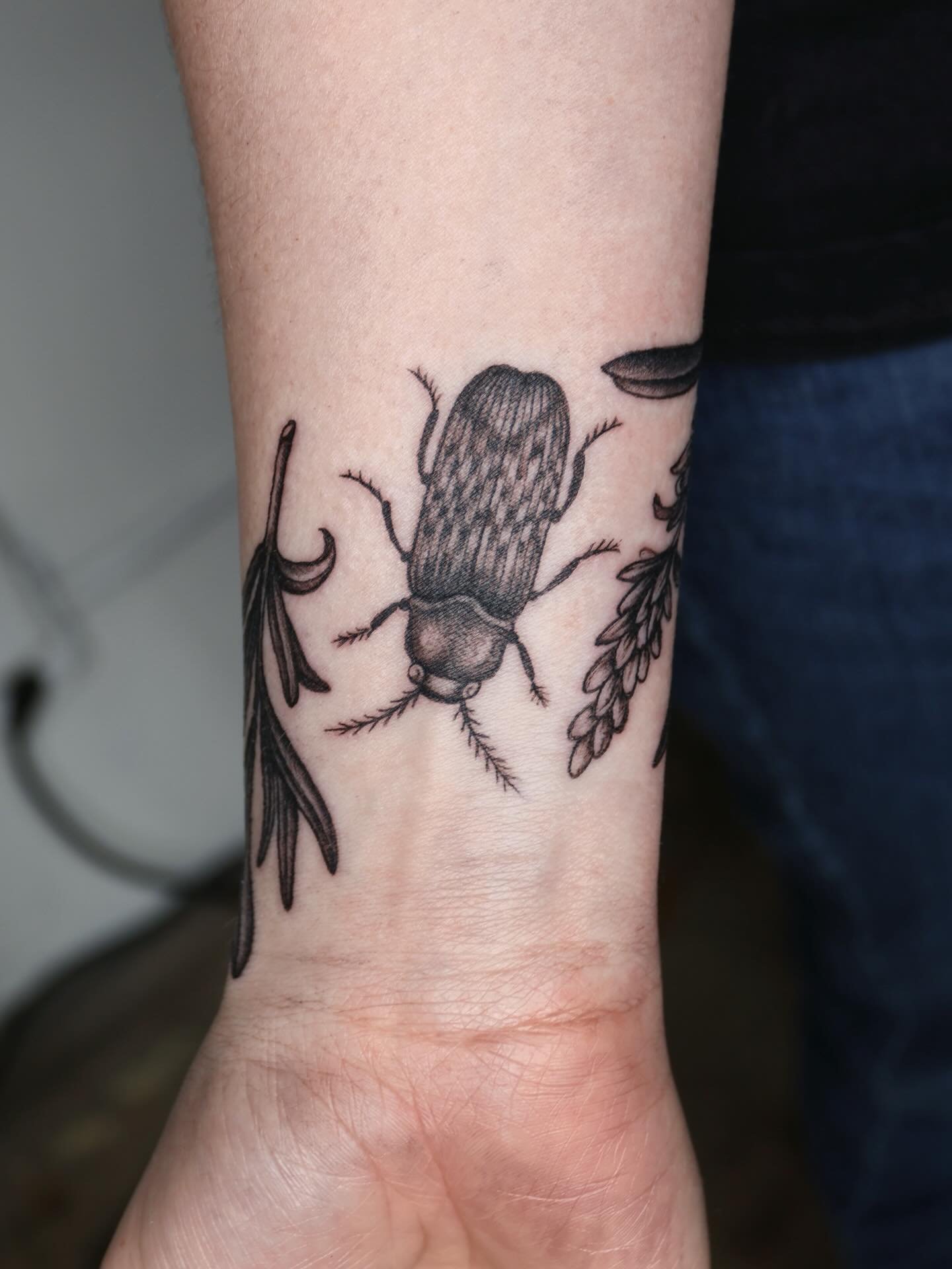 Deathwatch beetle 🪲
#dallastattooartist #dfwtattooartist #femaletattooartist #practicalmagic  #blackandgreytattoo