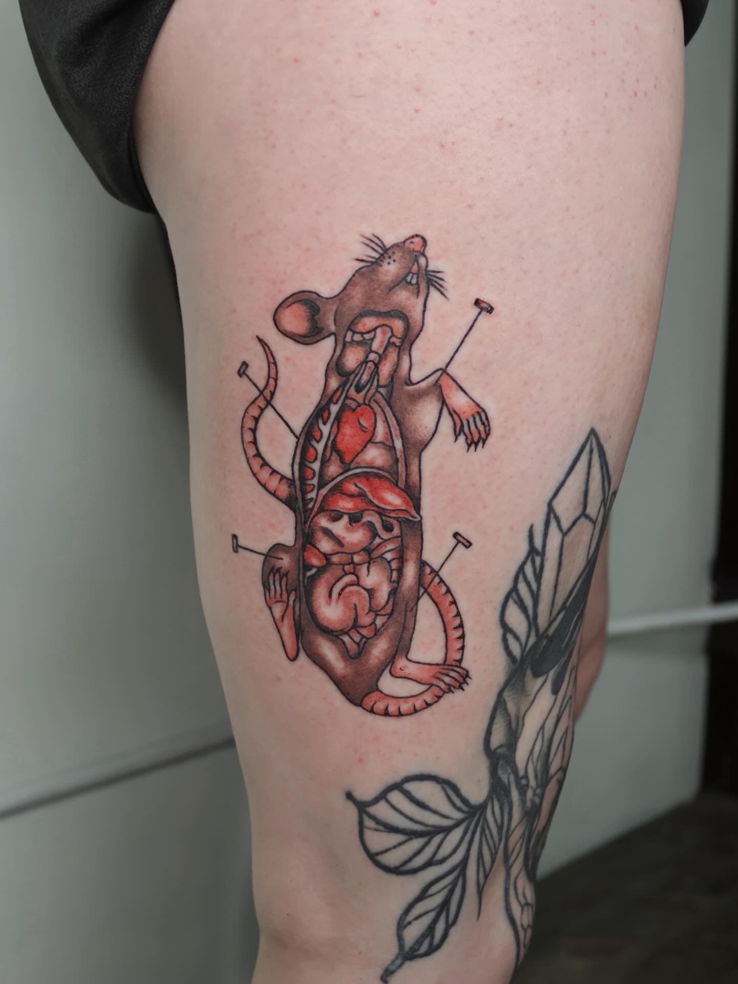 Just a lil guy🐀
#dfwtattooartist #dallastattooartist #femaletattooartist #ratdissection