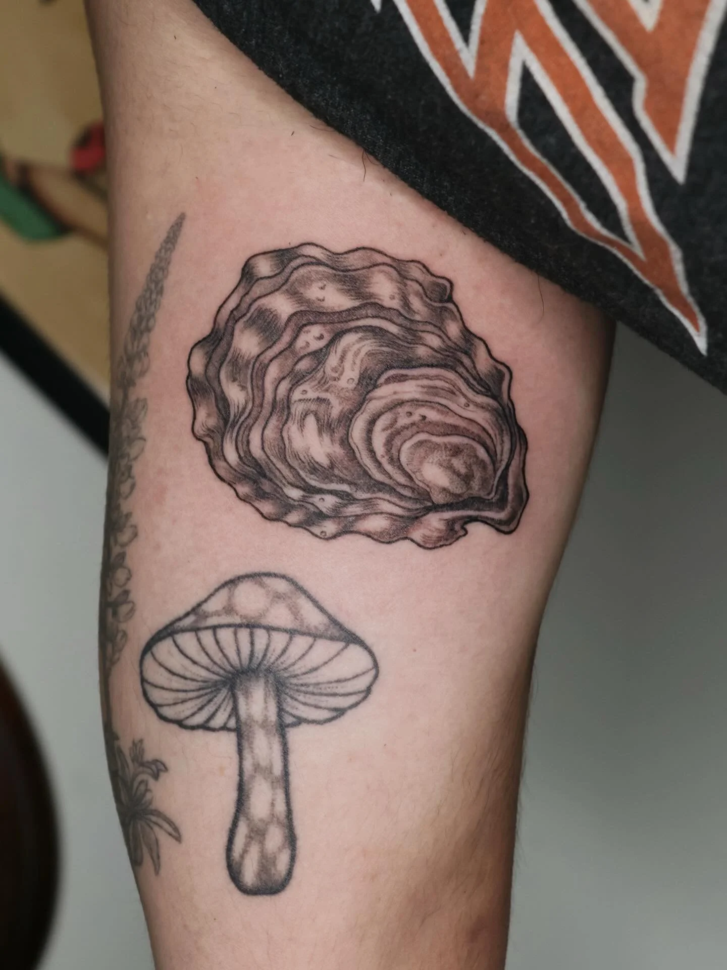 Oyster🦪
#dfwtattooartist #dallastattooartist #femaletattooartist #oystertattoo