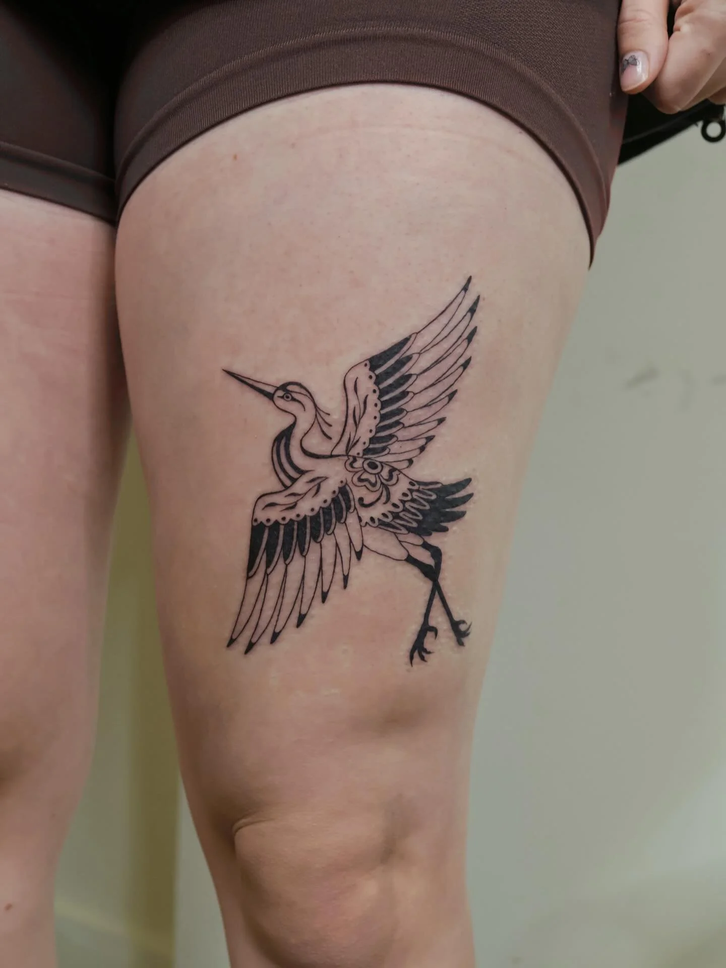 High-contrast heron 🖤
#dfwtattooartist #femaletattooartist #dallastattooartist