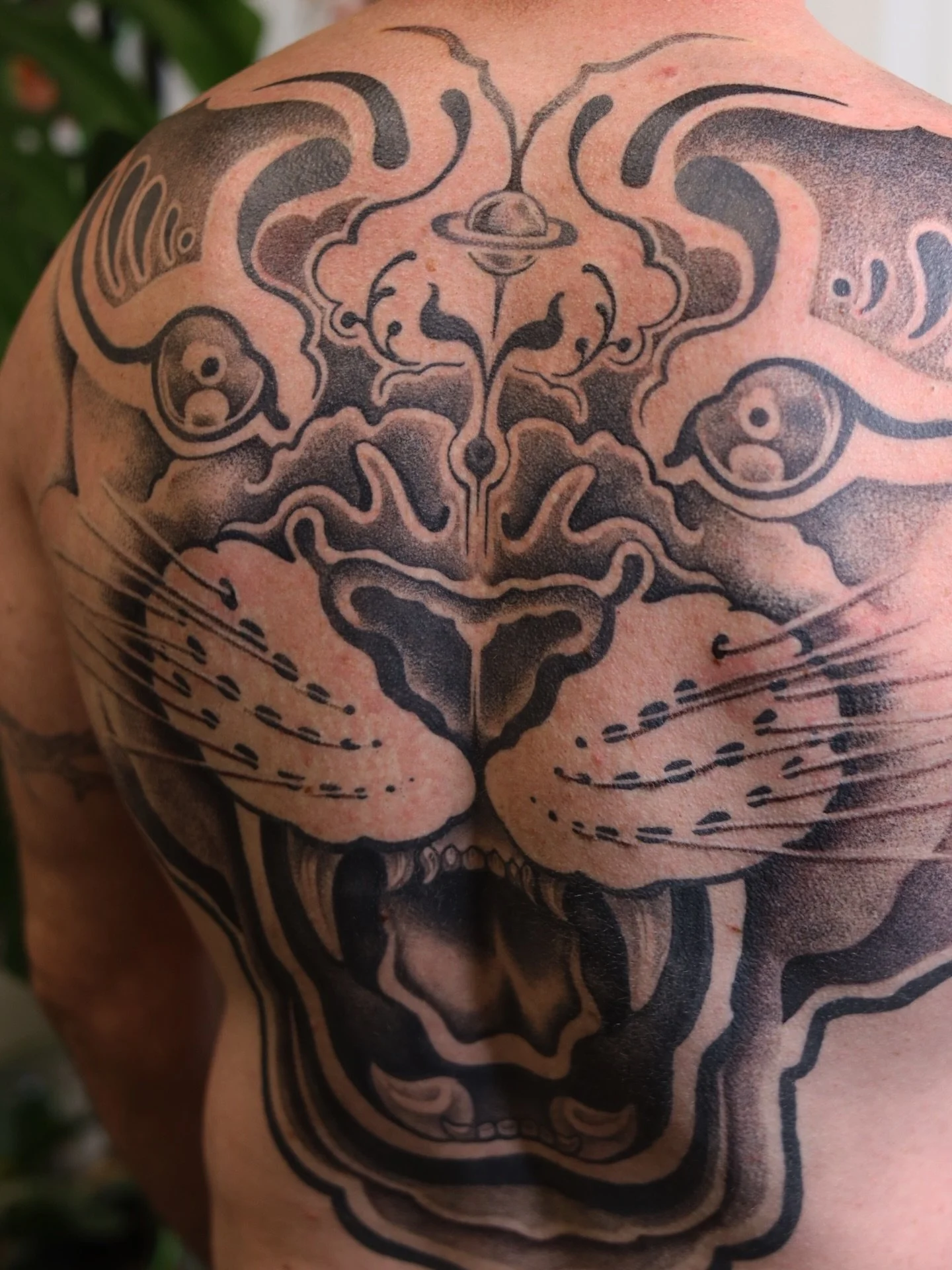 Update on this back pease!! We have one more season to work on the sides and after that maybe a clean up/sharpen things season. Loving how this big cat is coming together! If you&rsquo;re interested in doing a large animal with hits of florals and pa