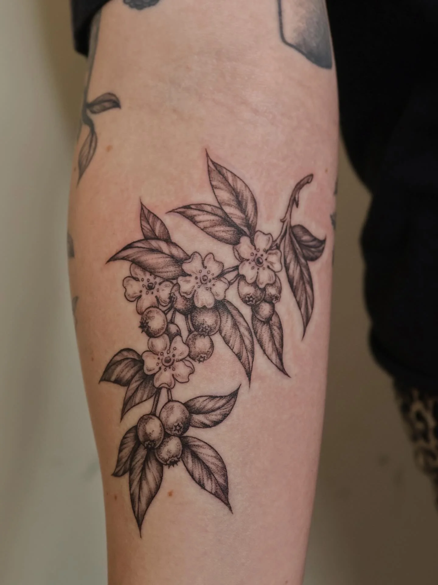 Blueberries 🫐 
#dfwtattooartist #dallastattooartist #femaletattooartist