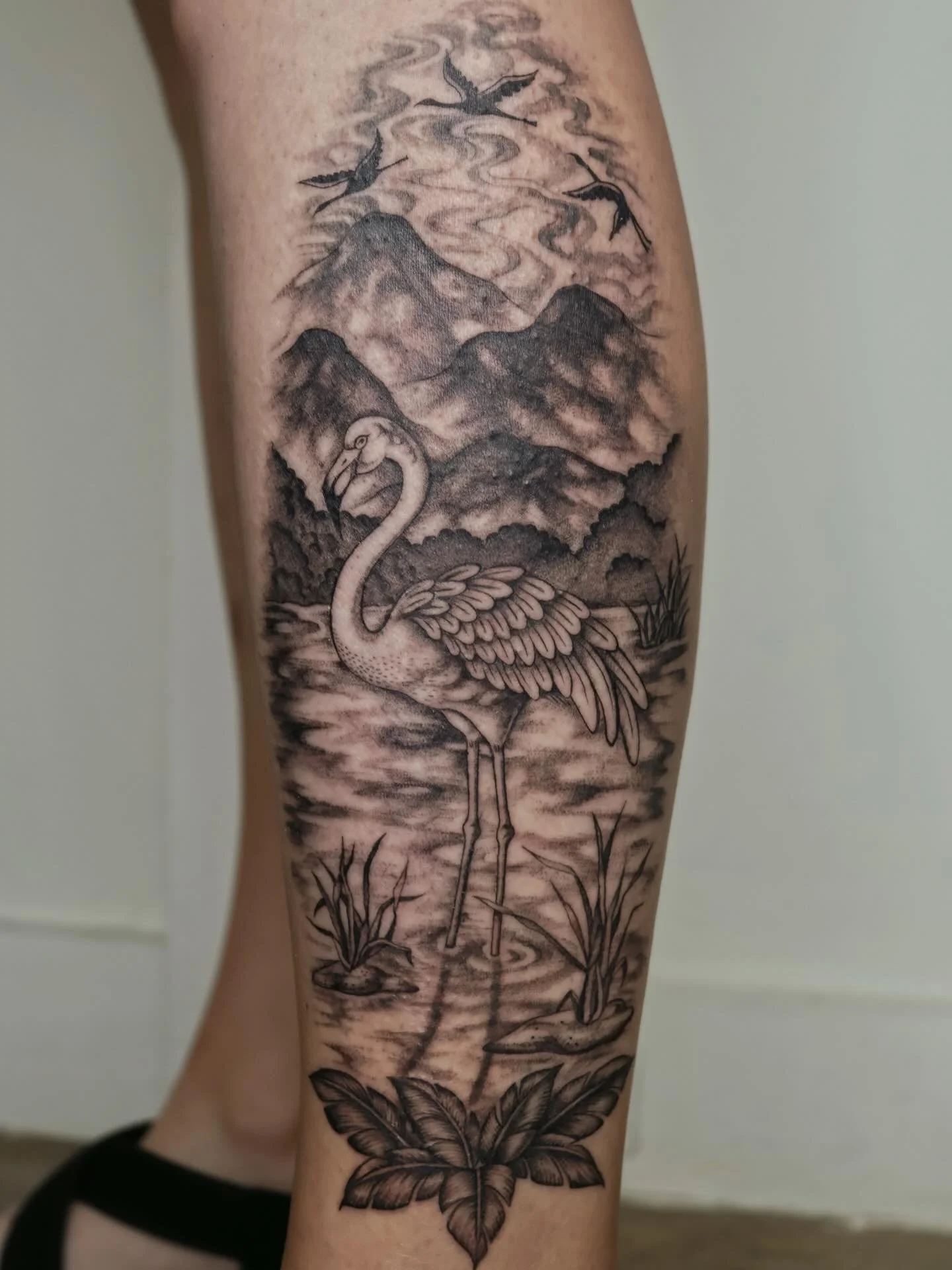 🦩
#dfwtattooartist #dallastattooartist #femaletattooartist