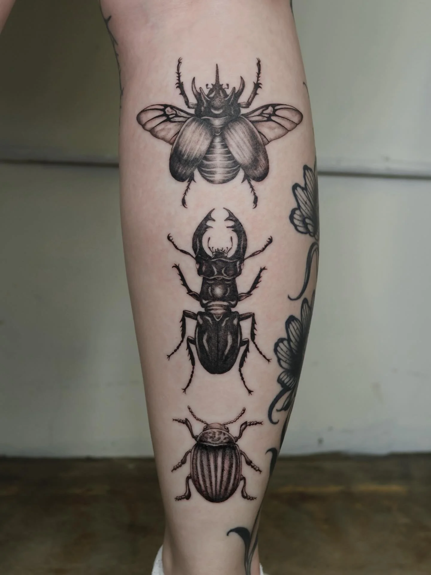 More bugs more bugs more bugs 🪲🕷️🐛🐞
#dallastattooartist #dfwtattooartist #femaletattooartist