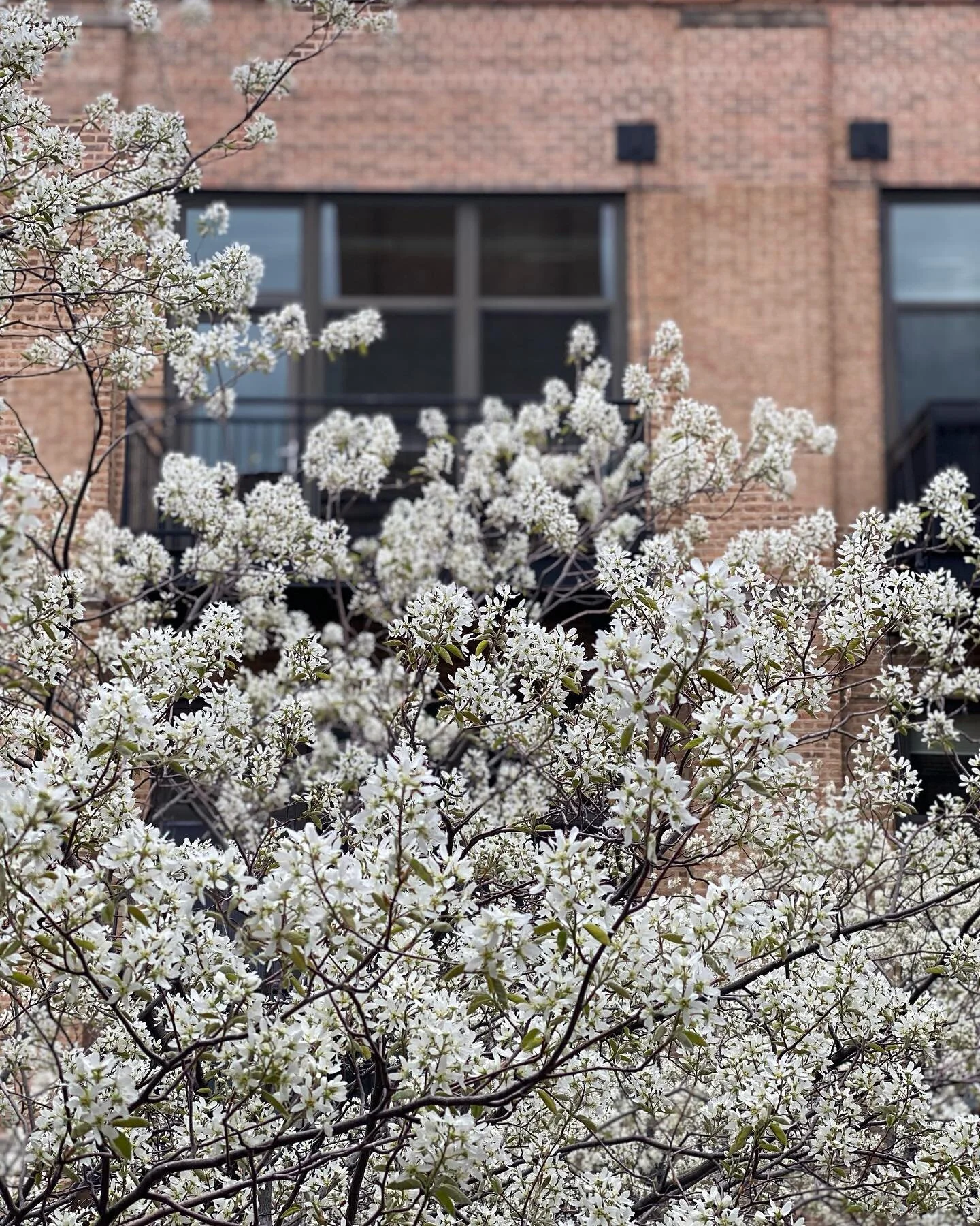 It&rsquo;s Spring!! (Almost)