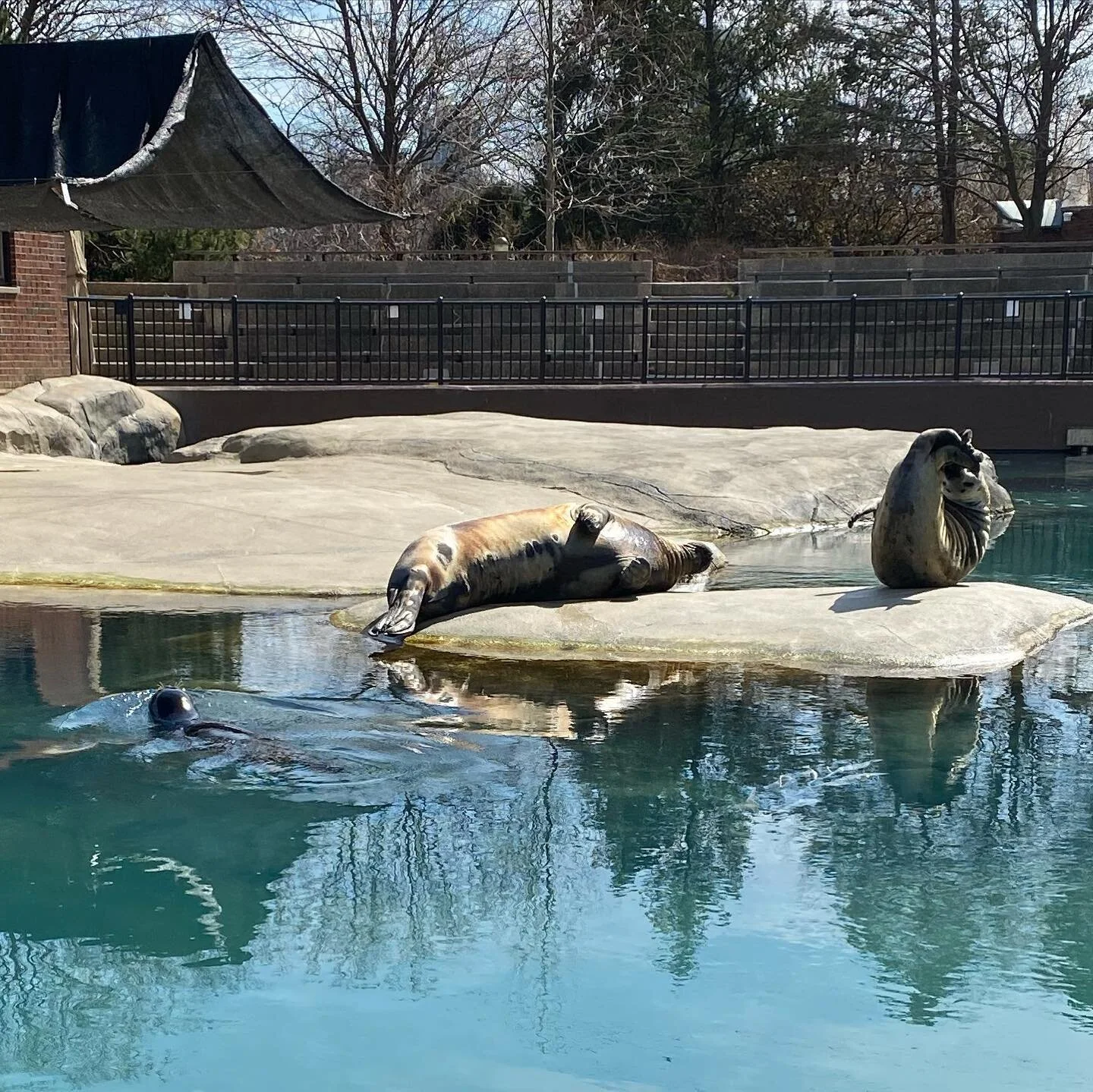 Everyone was enjoying the sun today! ☀️