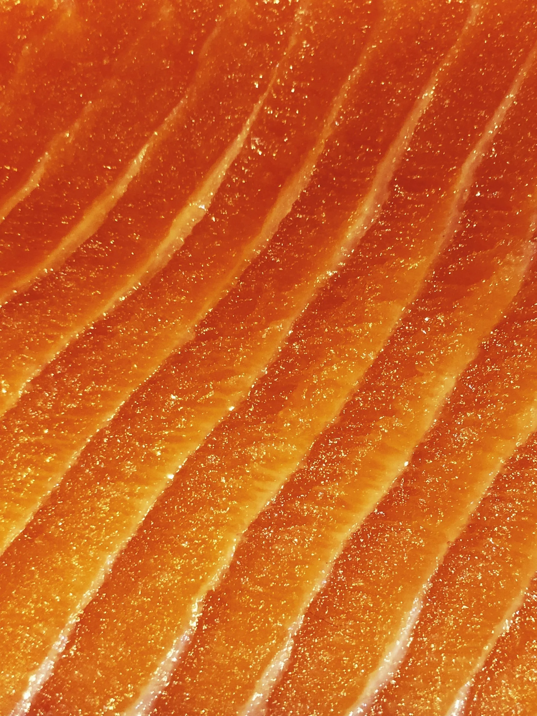 SALMON.jpeg