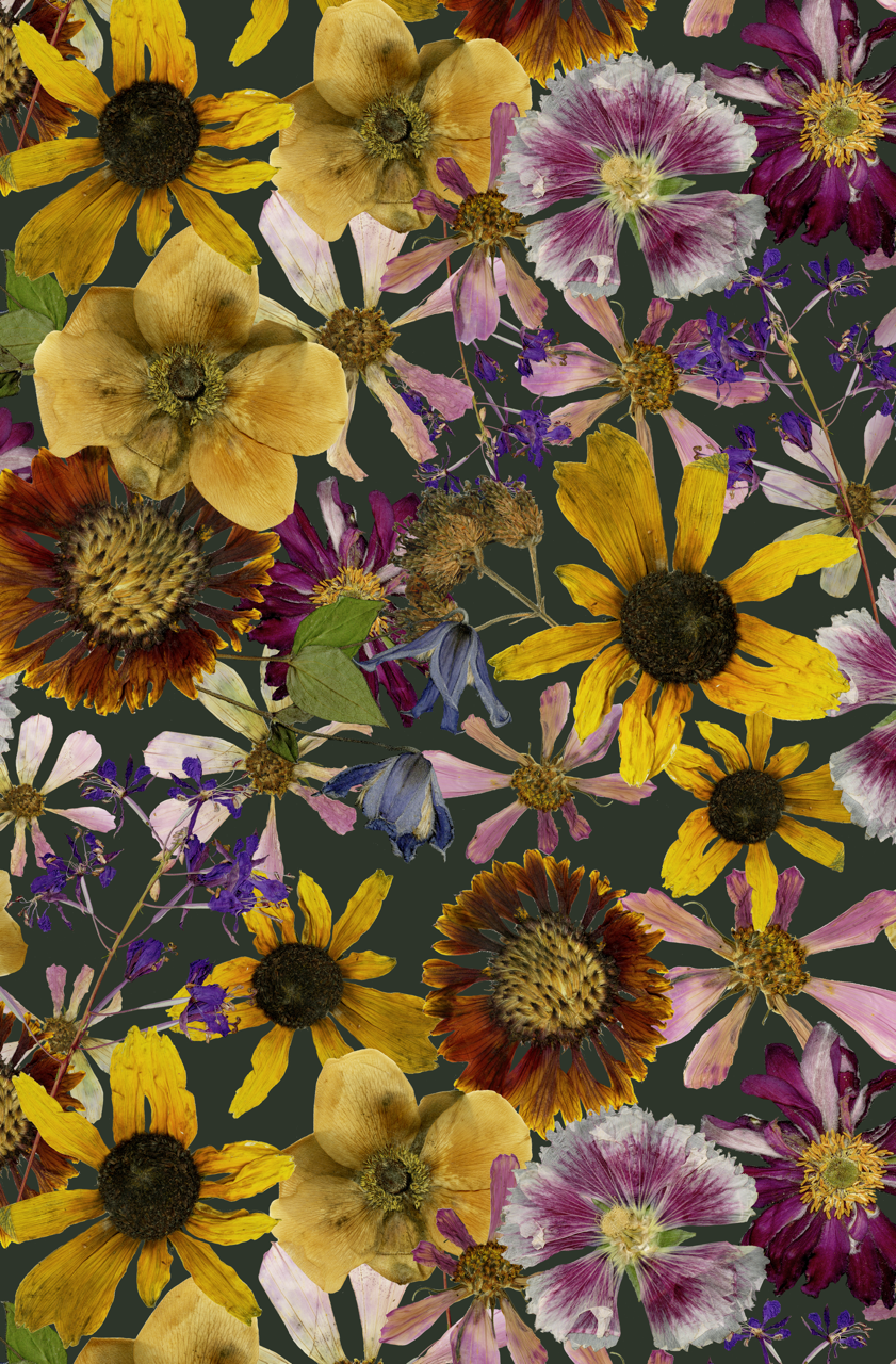 MMFloodPg1 Large.png