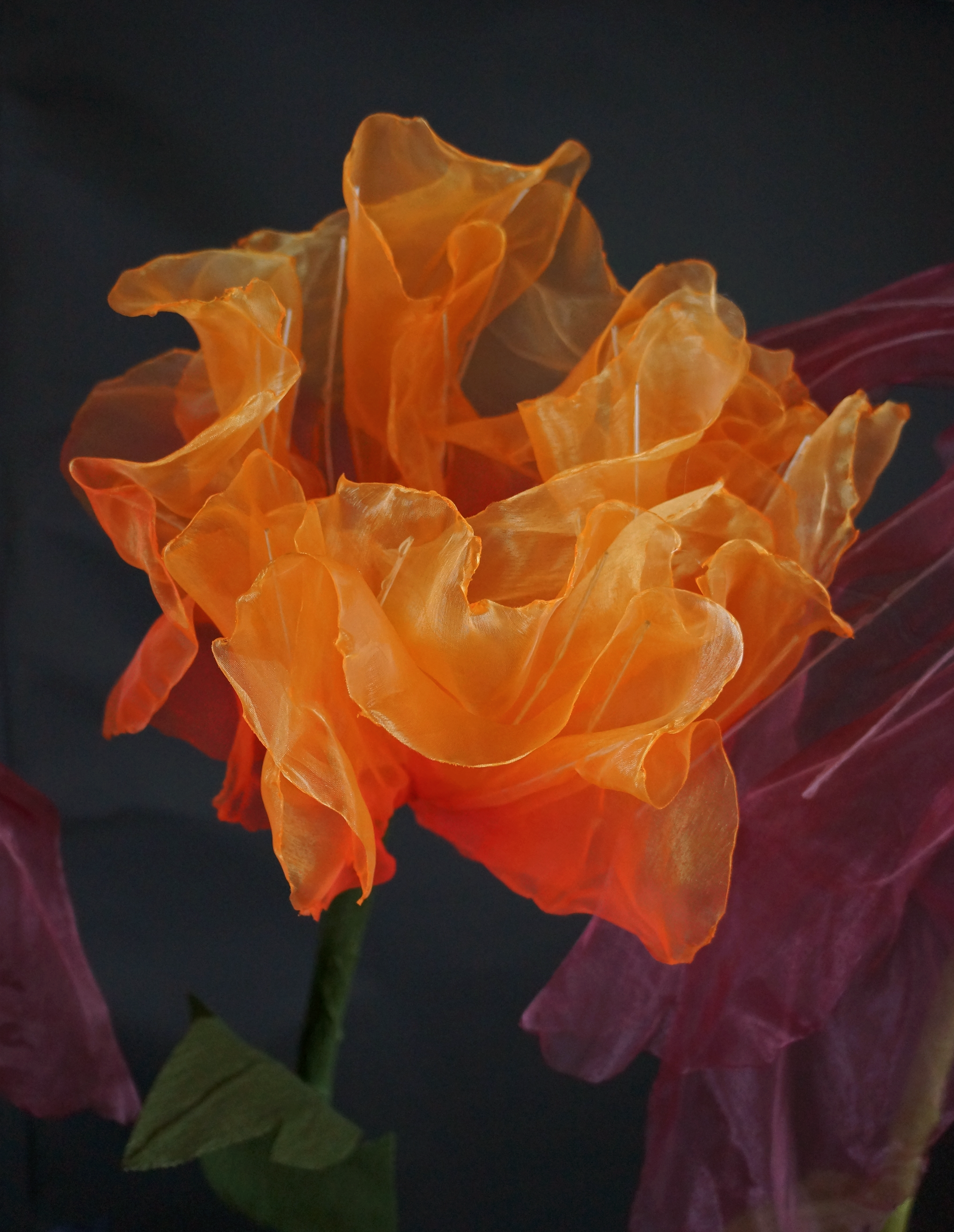 DSC00742.png