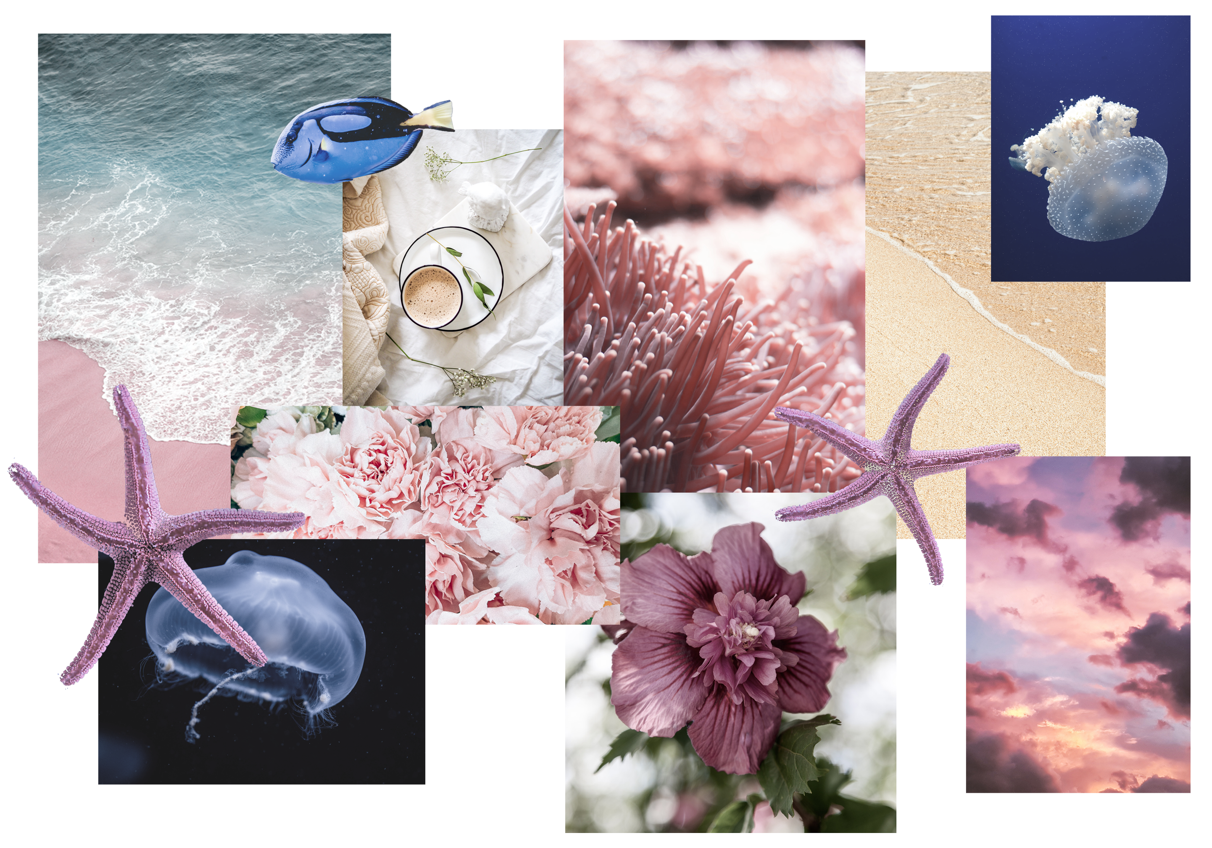 Proj3 Color board.png