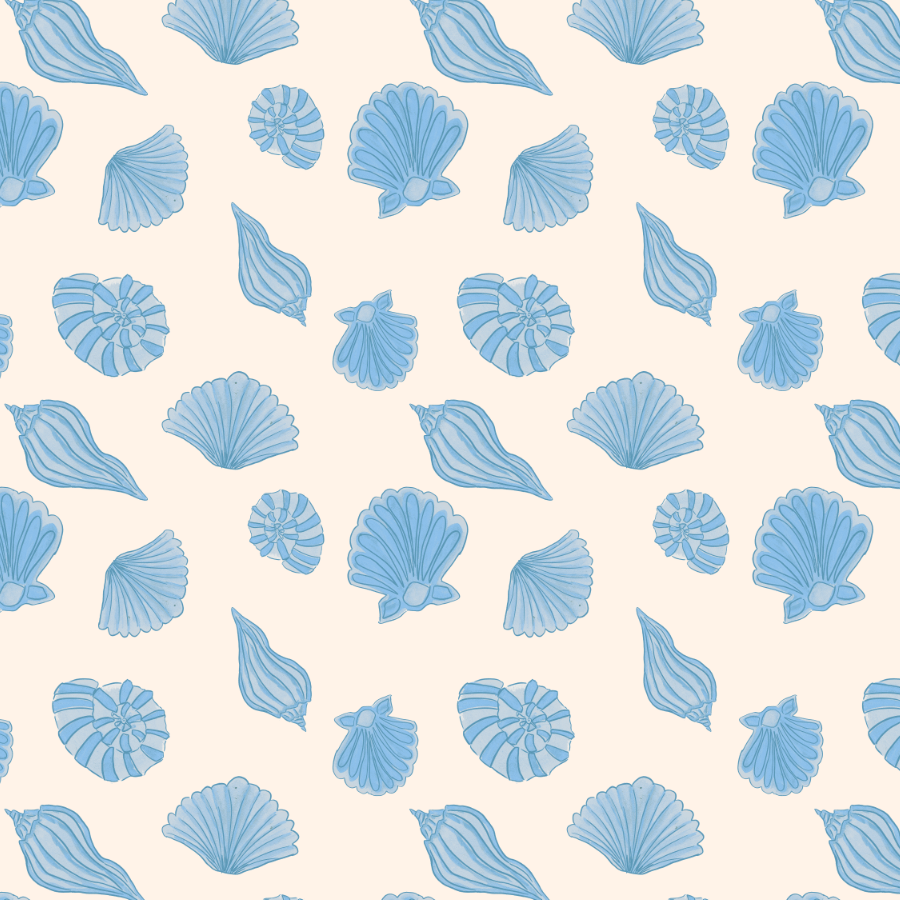 SeashellsSquare.png