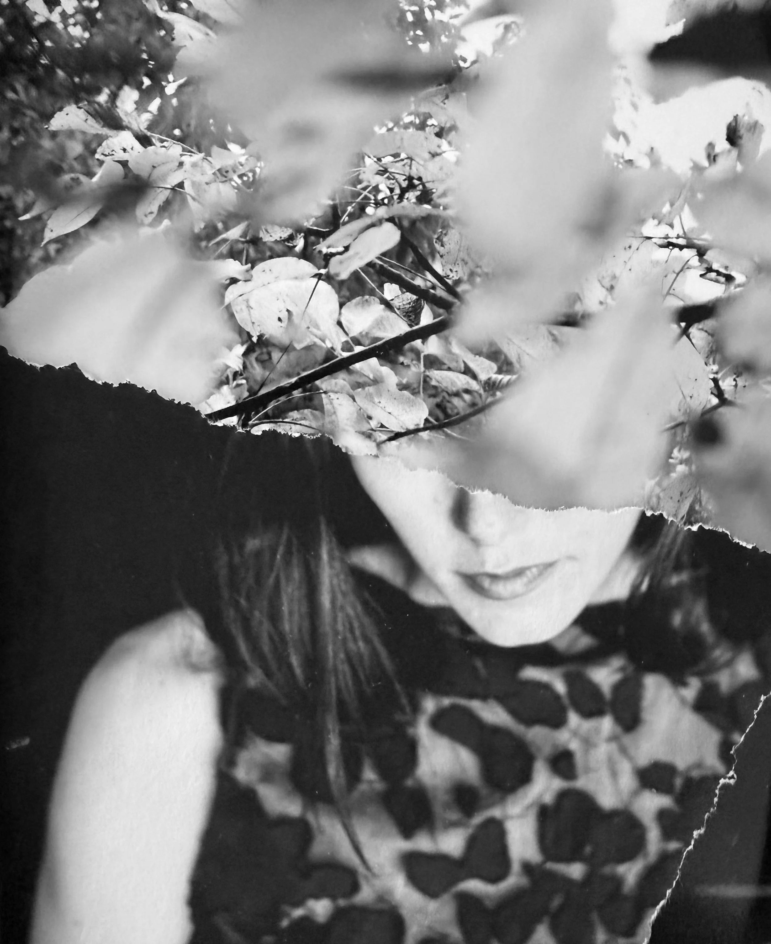 MIA Photo Fair (Copy)