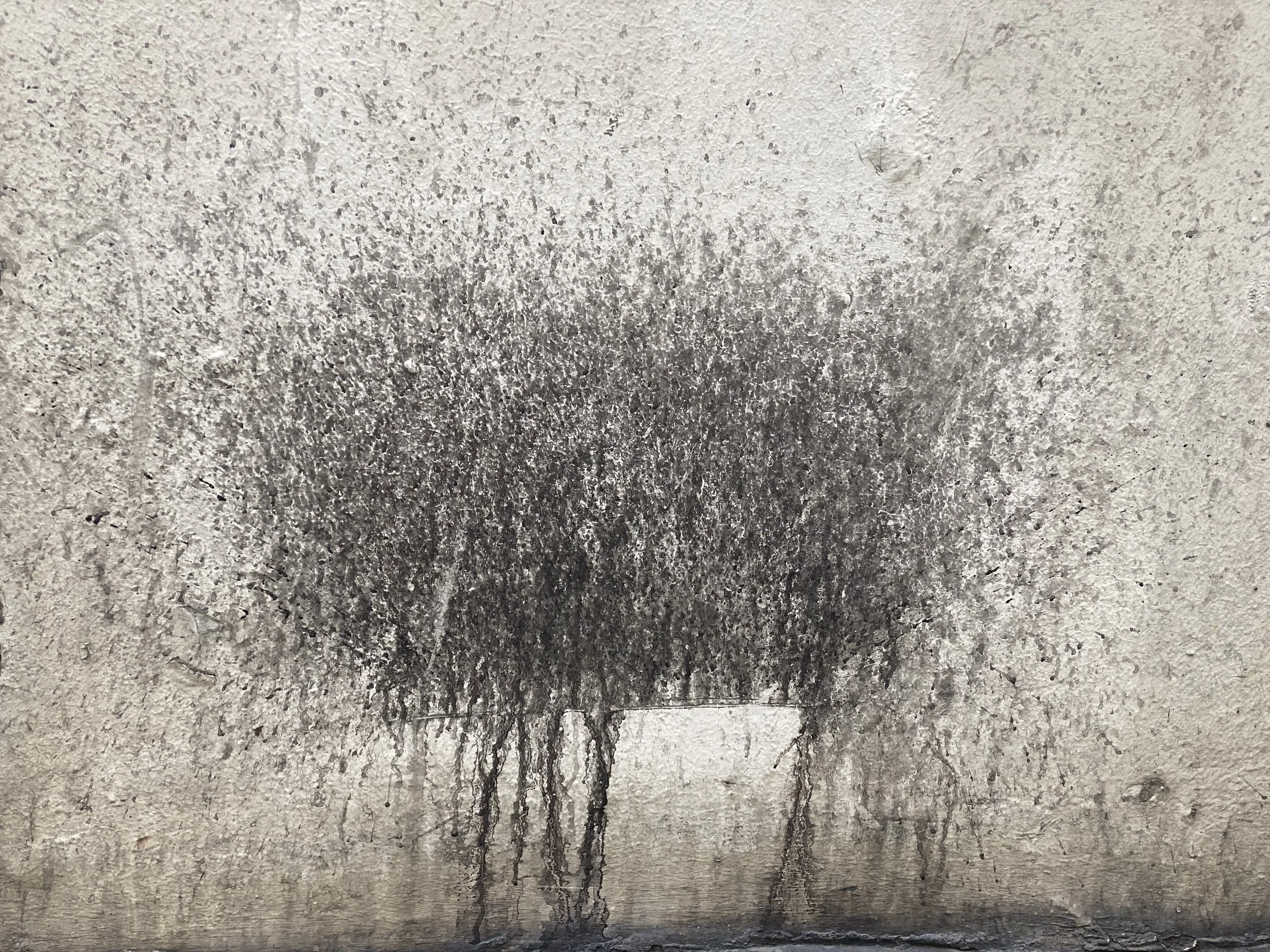 PKT_Winter, 2023.jpg