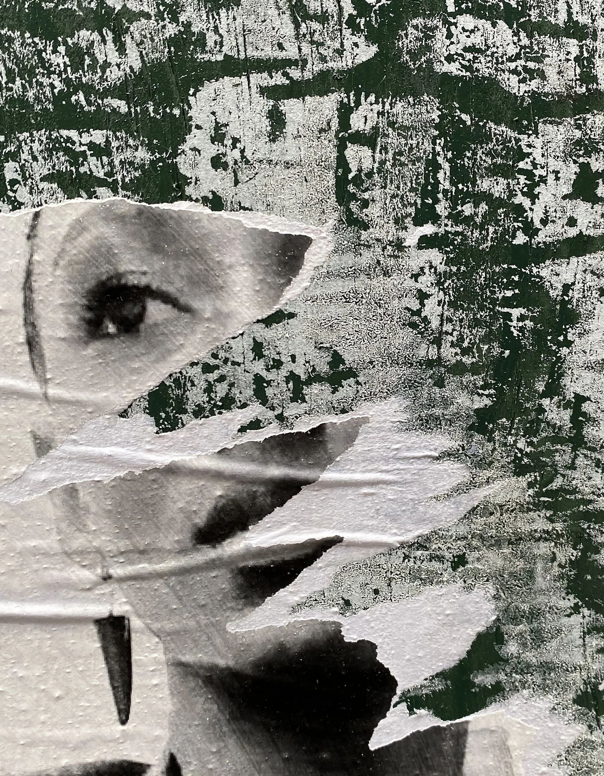 PKT_Green_300 dpi 2.jpg