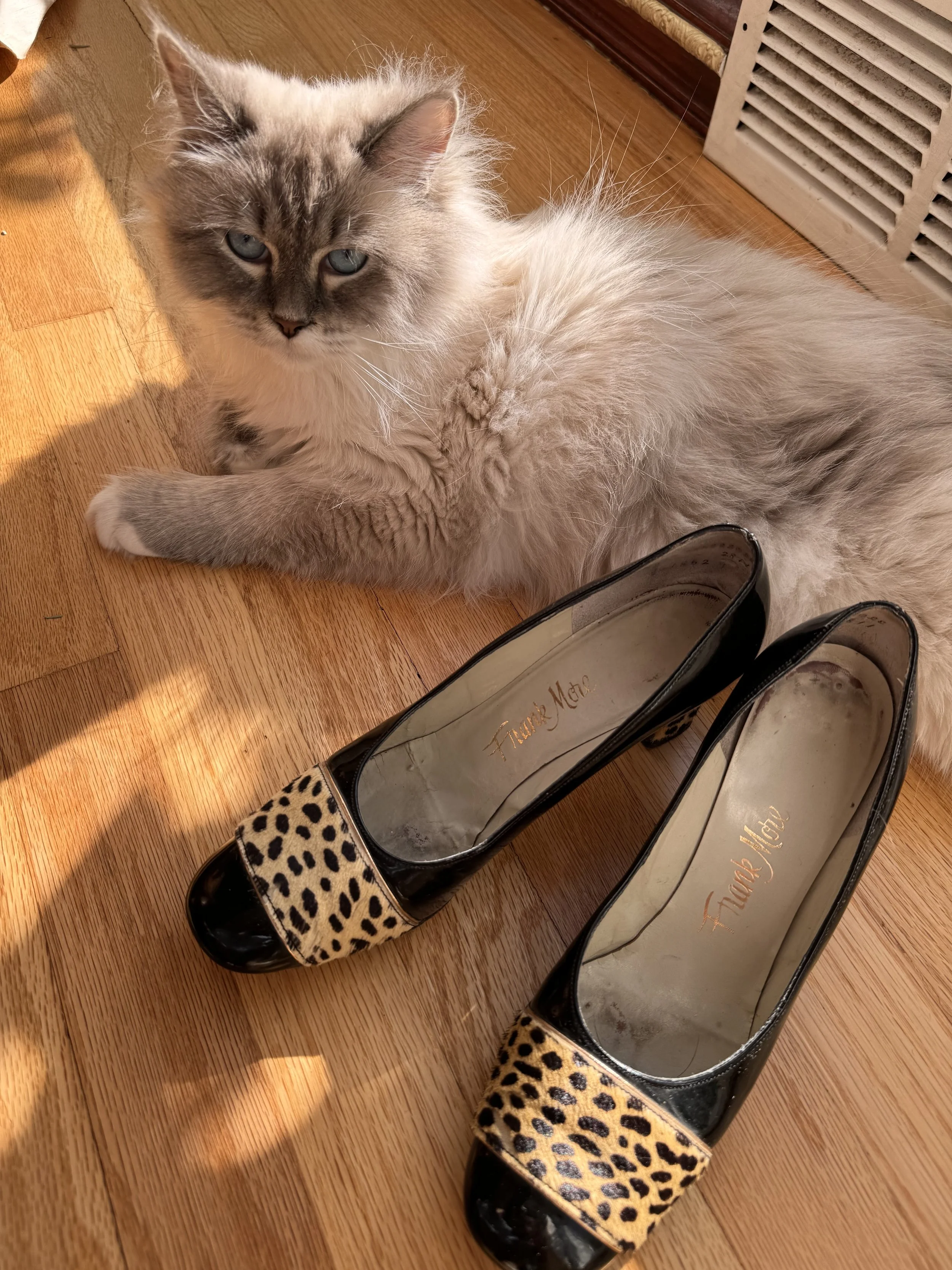 frank_more_1960s_shoes