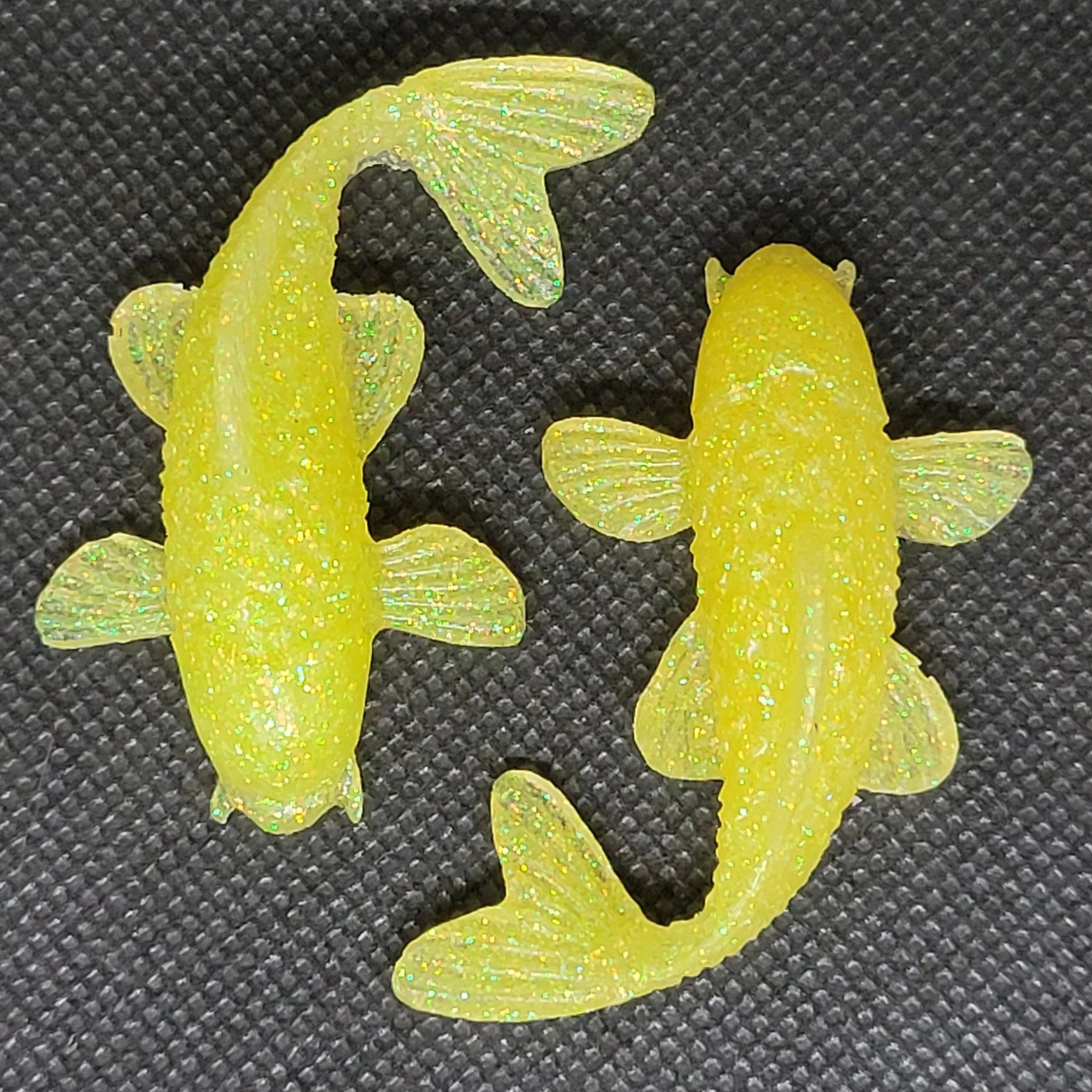Coy Fish Yellow.jpg