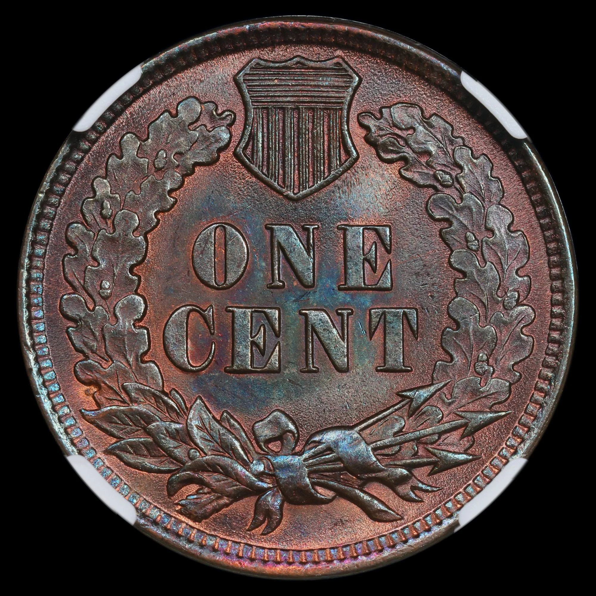 1899_Indian-Head-Cent_NGC-6498811011_Reverse.jpg