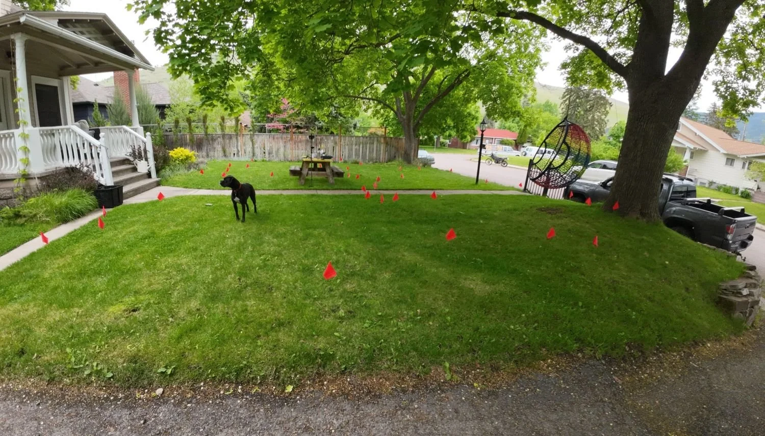 Flags which represent good signals from the metal detector.